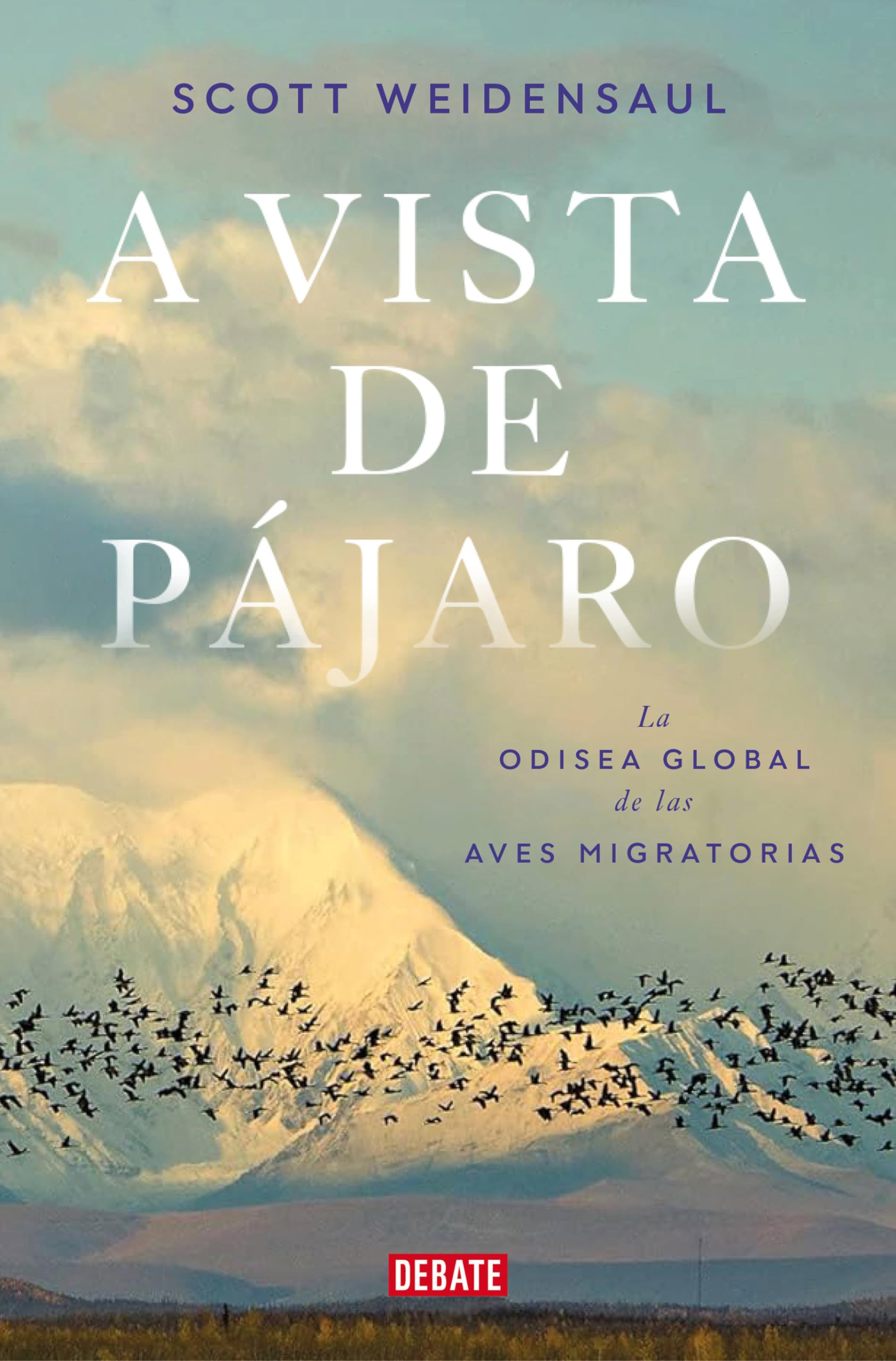 A vista de pájaro: La odisea global de las aves migratorias (Ciencia y Tecnología) Mathematics