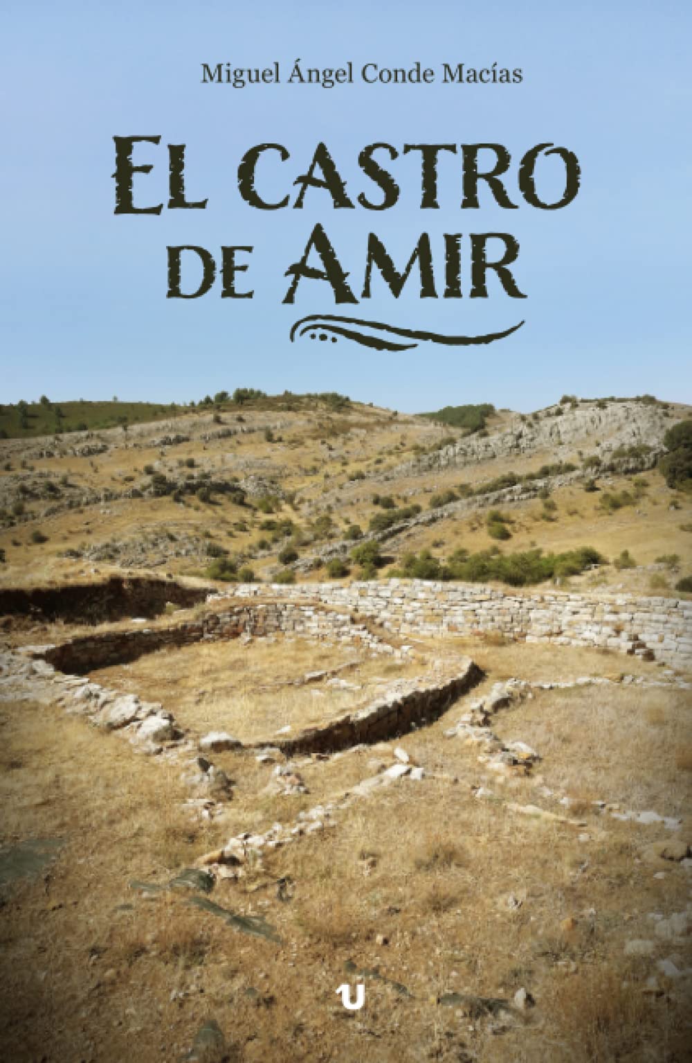 El castro de Amir Contemporary literature