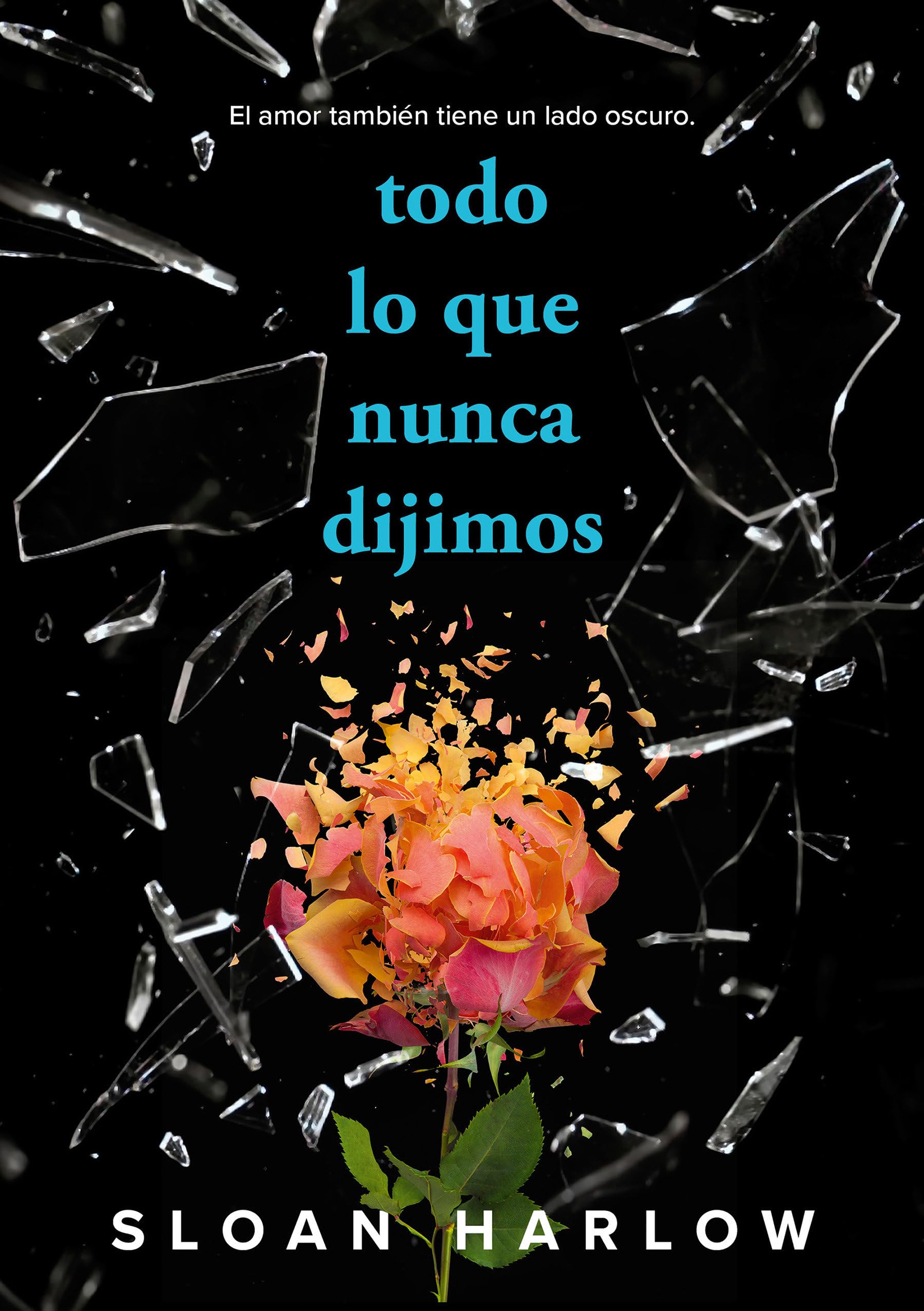 Todo Lo Que Nunca Dijimos / Everything We Never Said (Sin límites) Fiction