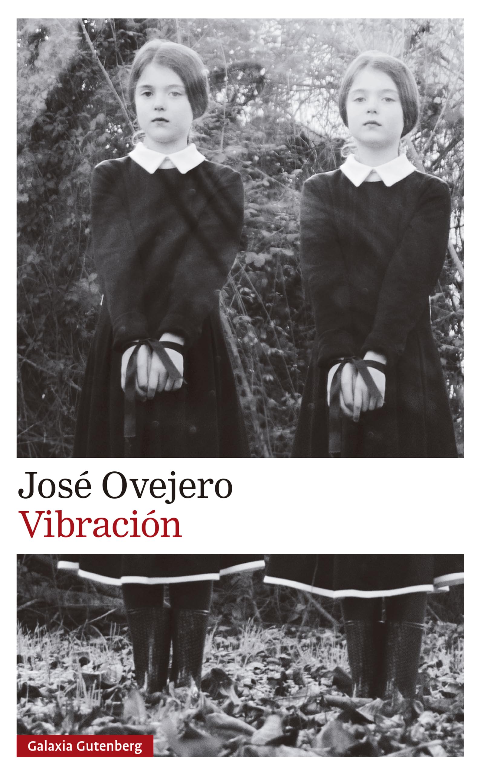 Vibración (Narrativa) Contemporary literature