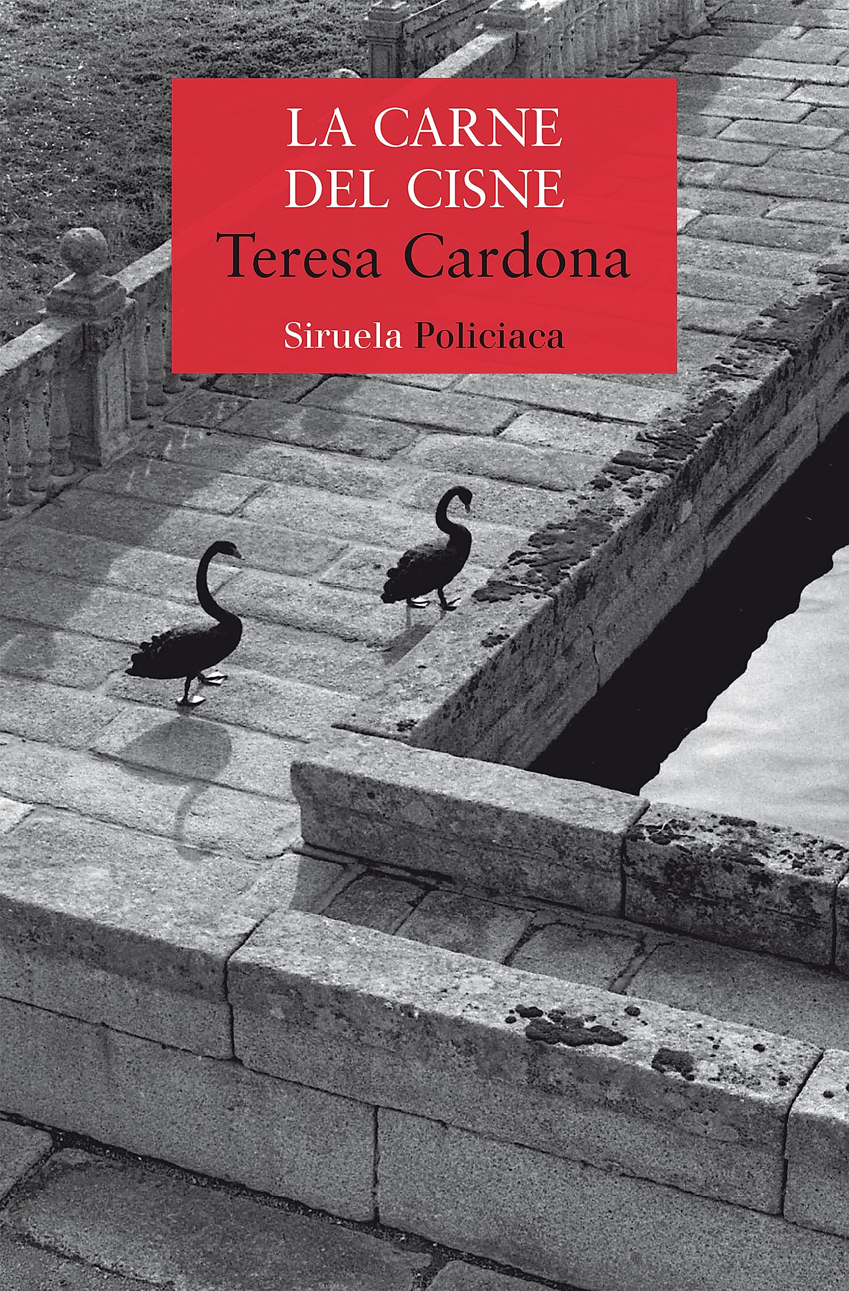 La carne del cisne: Serie de Blecker y Cano 3 (Nuevos Tiempos / Policiaca, Band 3) Contemporary literature