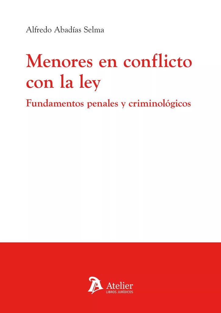 Menores en conflicto con la ley. Fundamentos penales y criminológicos book