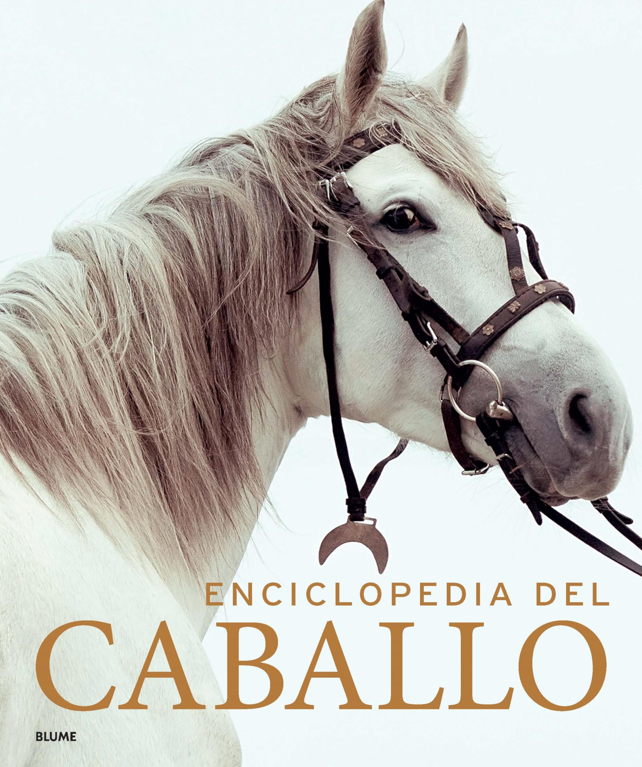 Enciclopedia del caballo (2023) Leisure & Fun