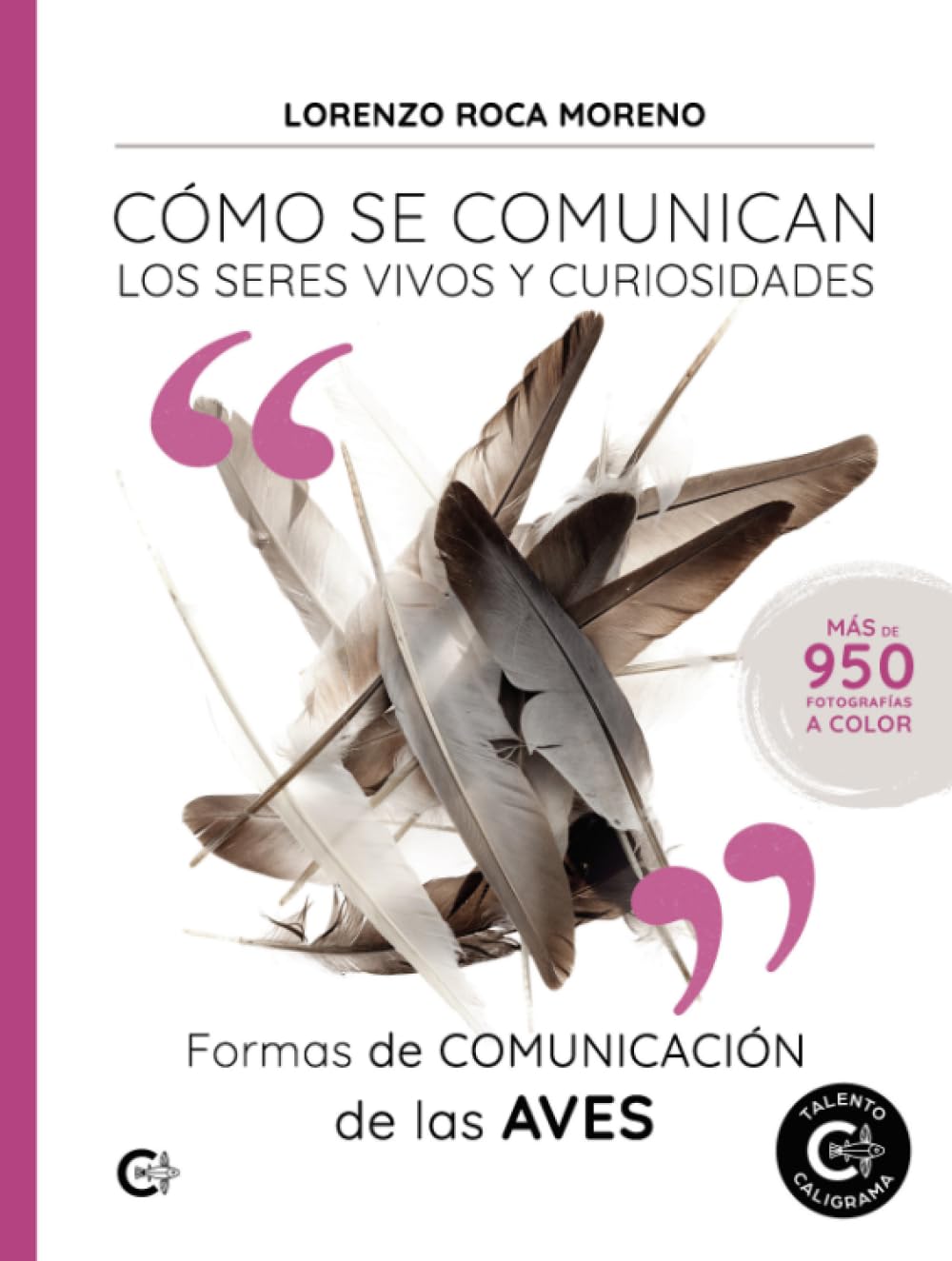 Formas de comunicación de las aves: Cómo se comunican los seres vivos y curiosidades Essays & Short Stories