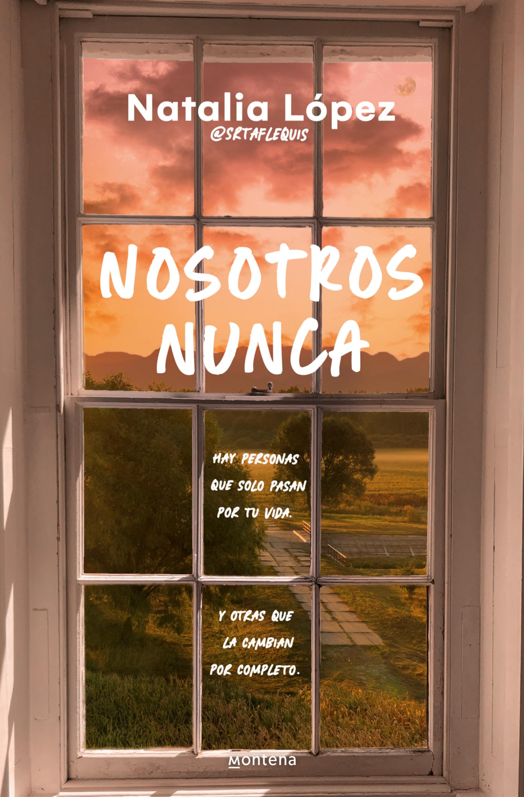 Nosotros Nunca / Us, Never book