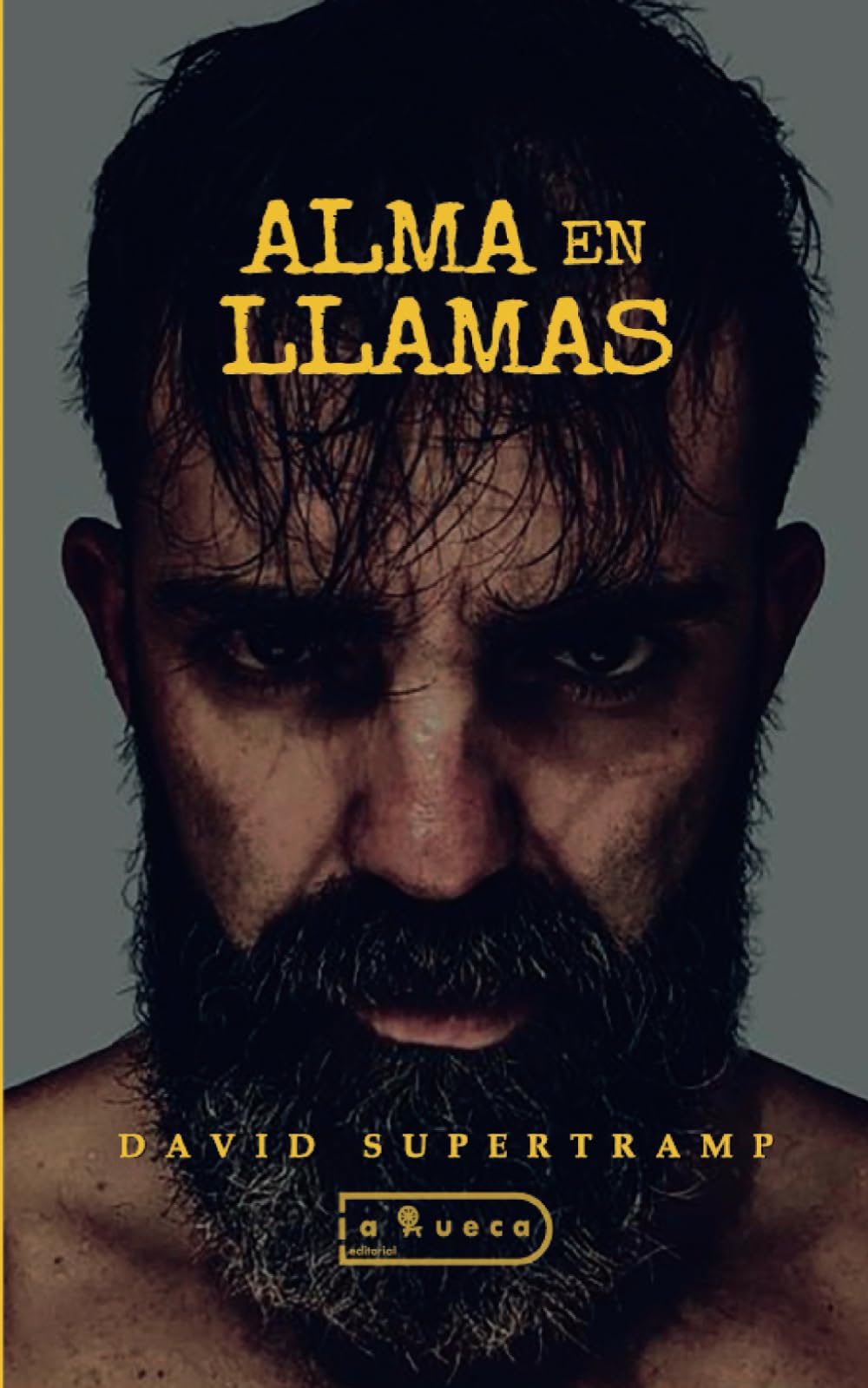 ALMA EN LLAMAS: Llega el día en el que hay que tomar la decisión de realizar cambios drásticos en tu vida, alejarte de todo lo tóxico y negativo que te rodea y enfrentarte al proceso. book