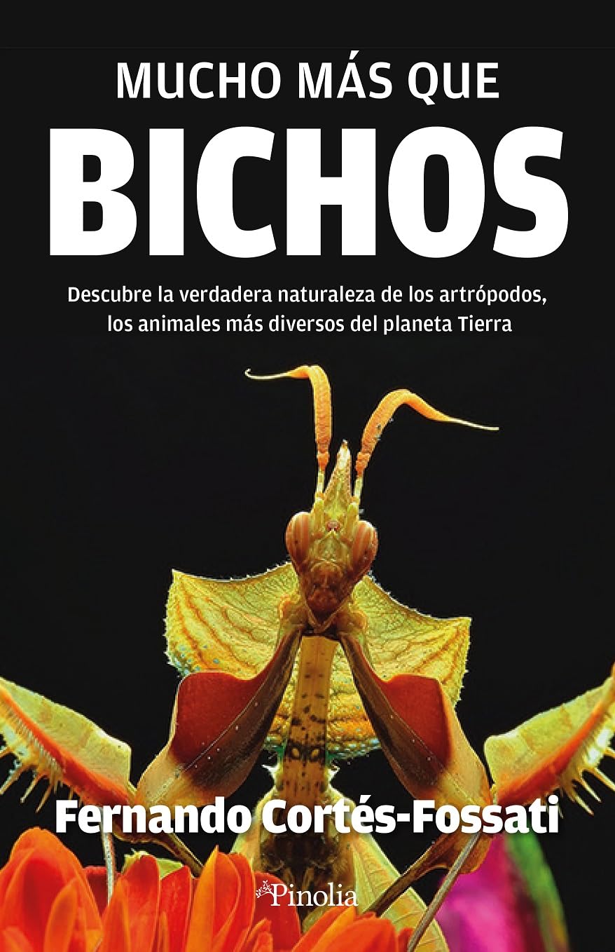 Mucho más que bichos/ Much more than bugs book