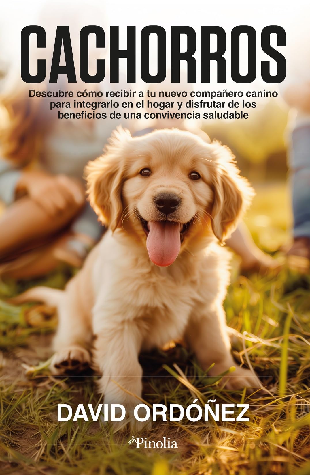 Cachorros: Descubre cómo recibir a tu nuevo compañero canino para integrarlo en el hogar y disfrutar de los beneficios que puede aportar a toda la familia book