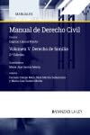 Manual de Derecho civil: Vol. V. Derecho de Familia (Manuales, Band 1) Books