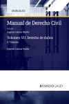Manual de Derecho civil: Vol. VII. Derecho de daños (Manuales, Band 1) Law