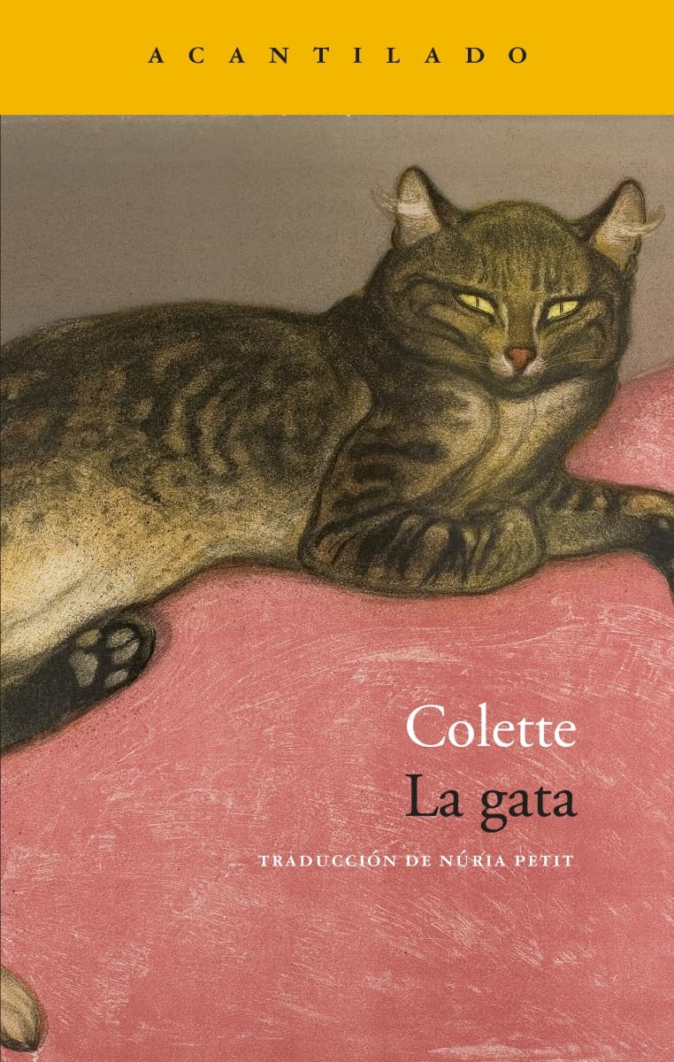 La gata (Narrativa del Acantilado, Band 382) Contemporary literature