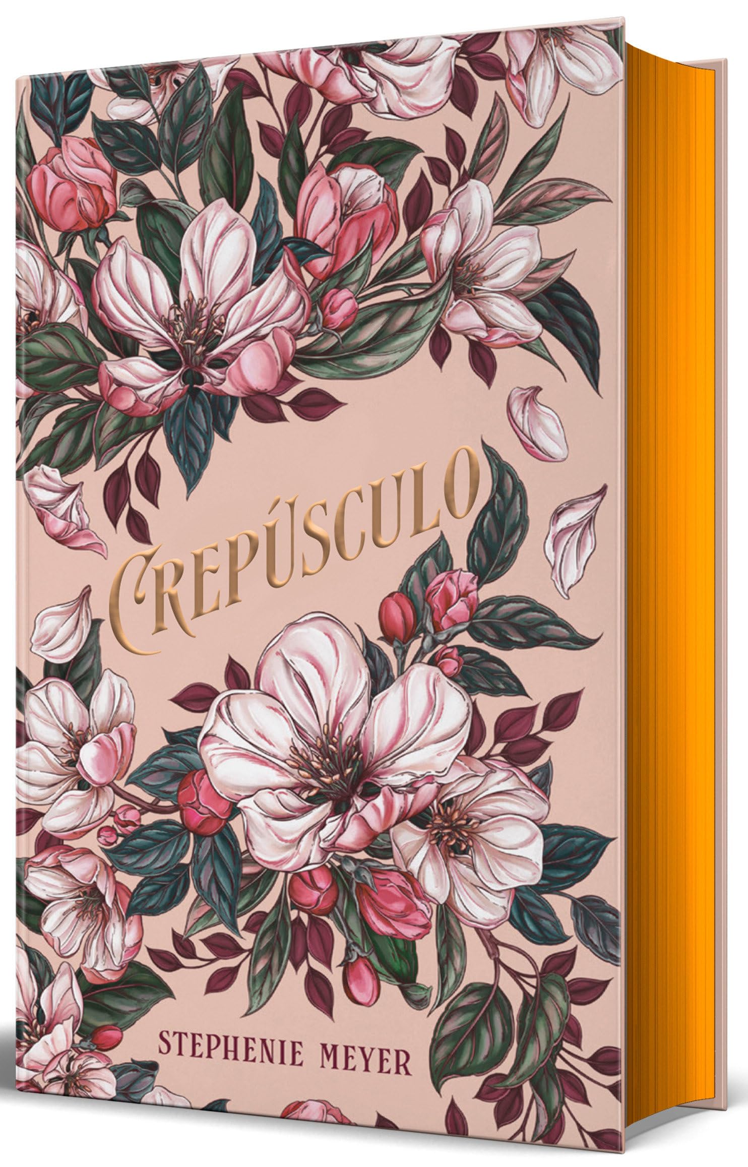 Crepúsculo. Edición Limitada Bella Y Edward (Especial 20 Aniversario) / Twilight: Deluxe Collector's Edition Romance