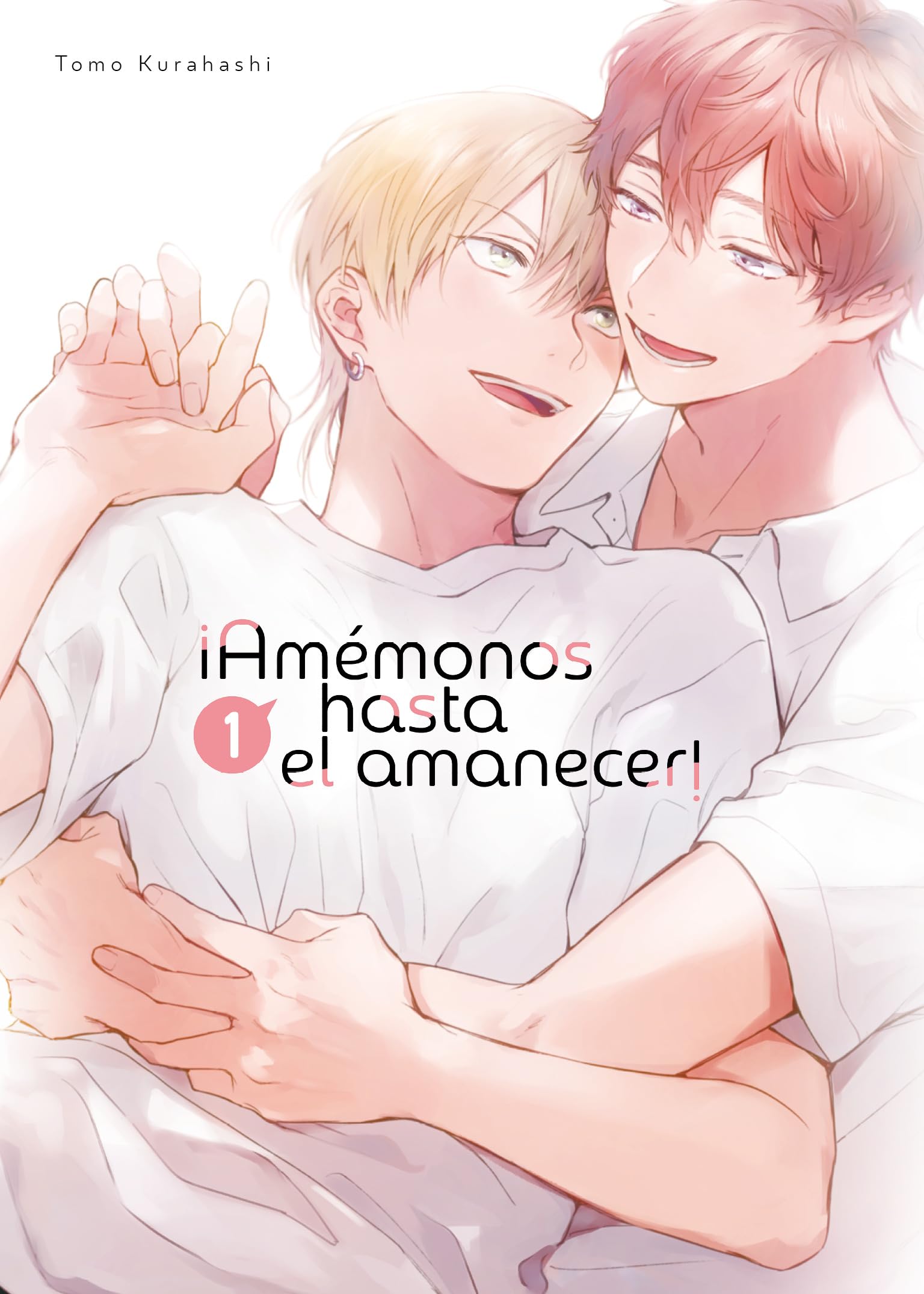 AMEMONOS HASTA EL AMANECER 1 book