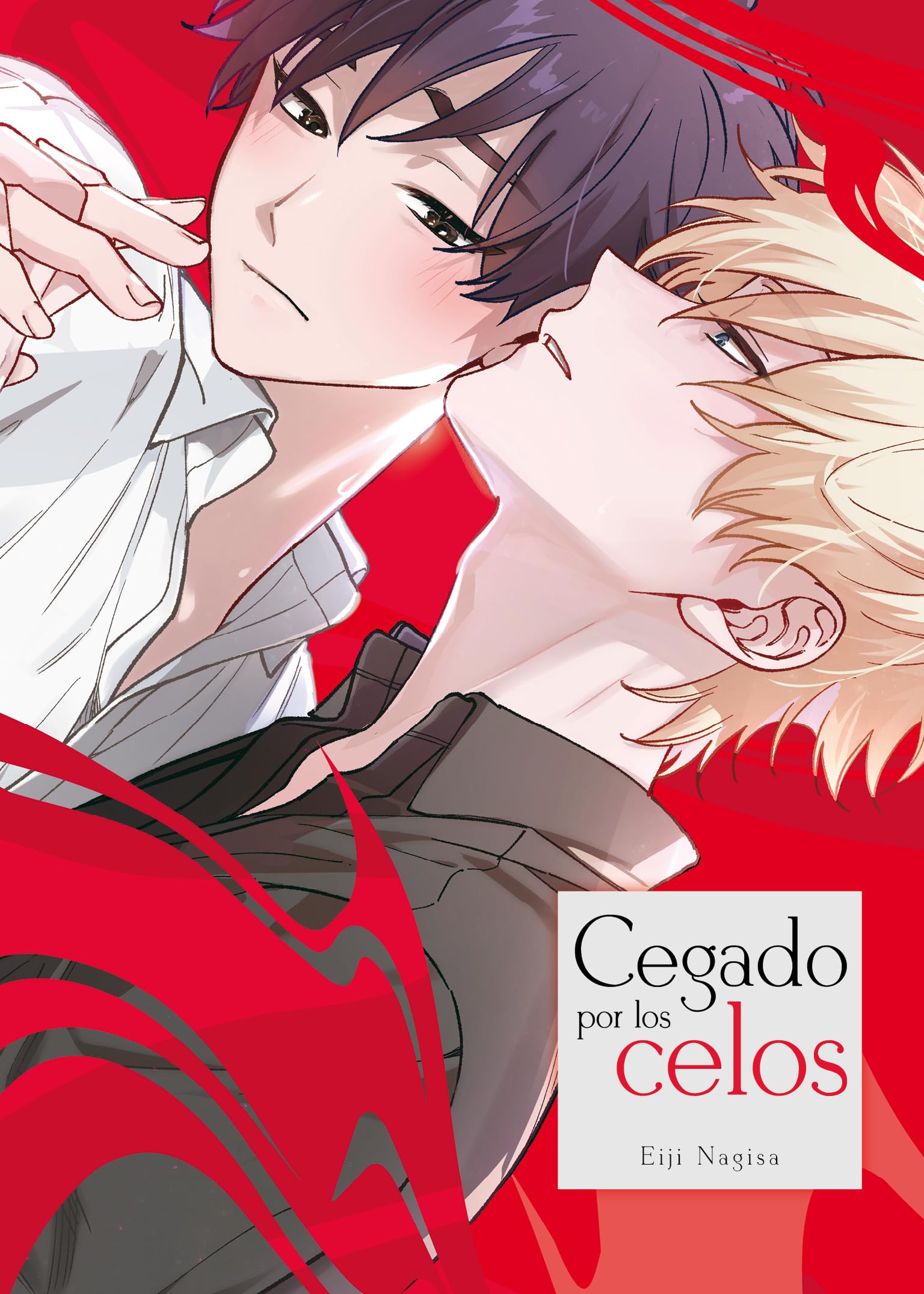 CEGADOS POR LOS CELOS book