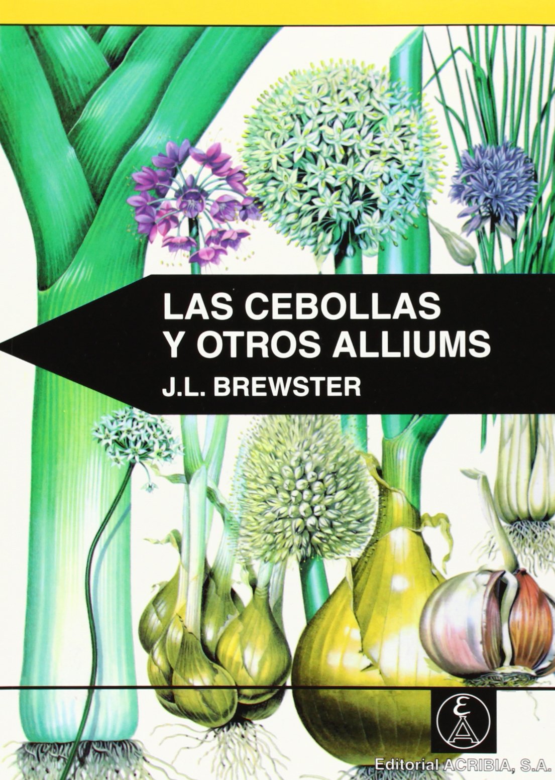 Las cebollas y otros alliums Learning & Reference