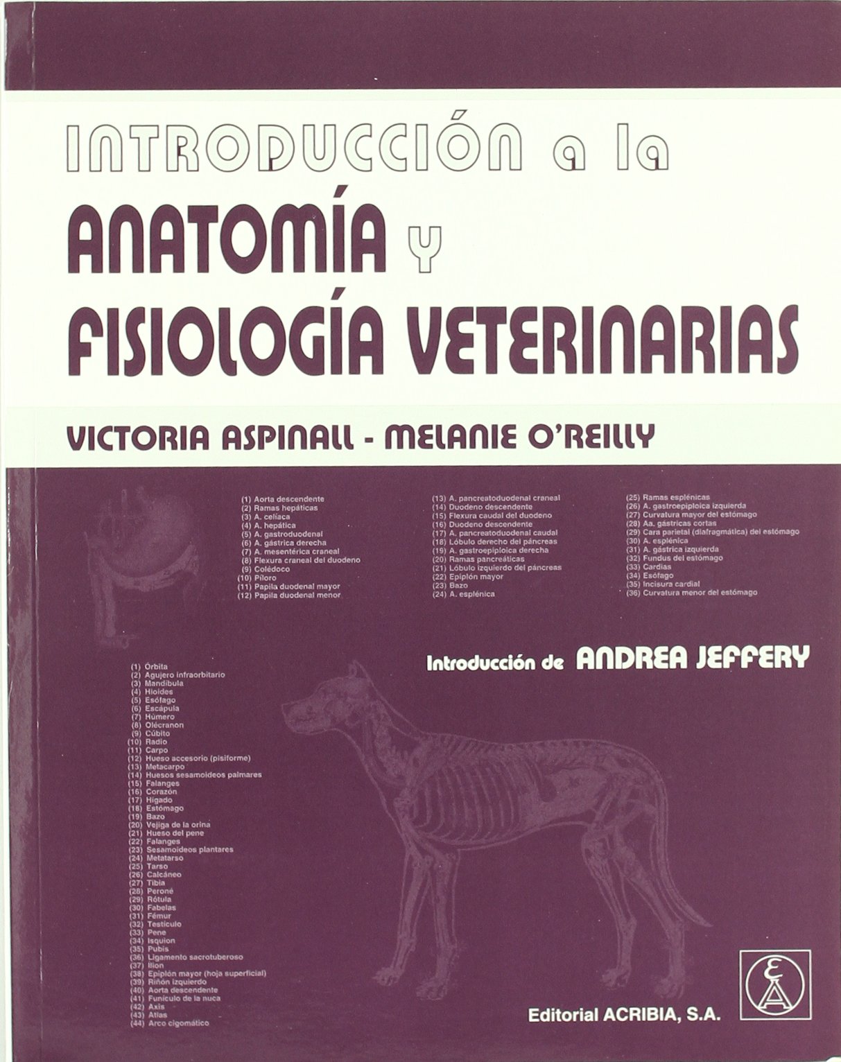 Introducción a la anatomía y fisiología veterinarias book