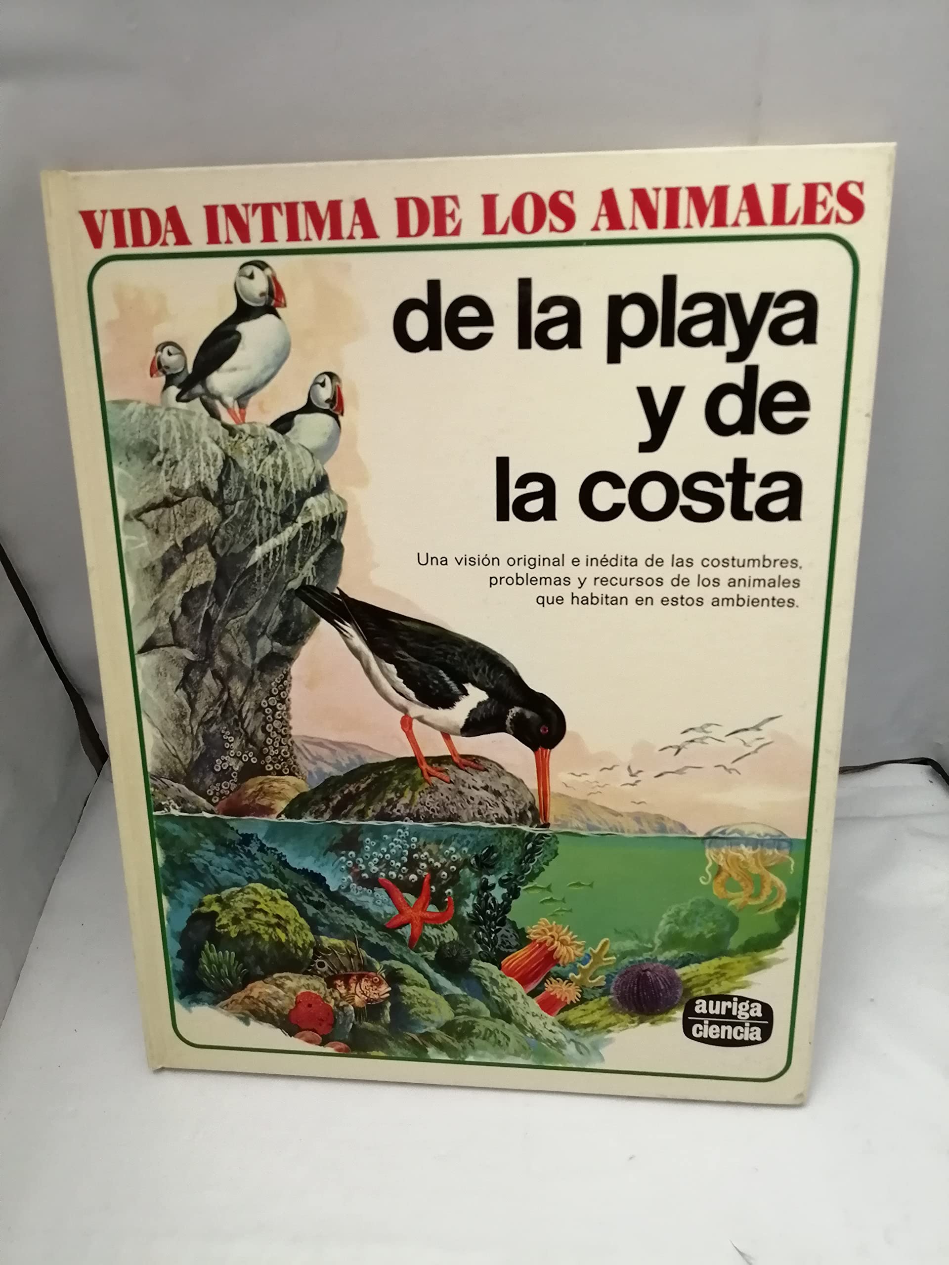 Los animales de la playa y de la costa book