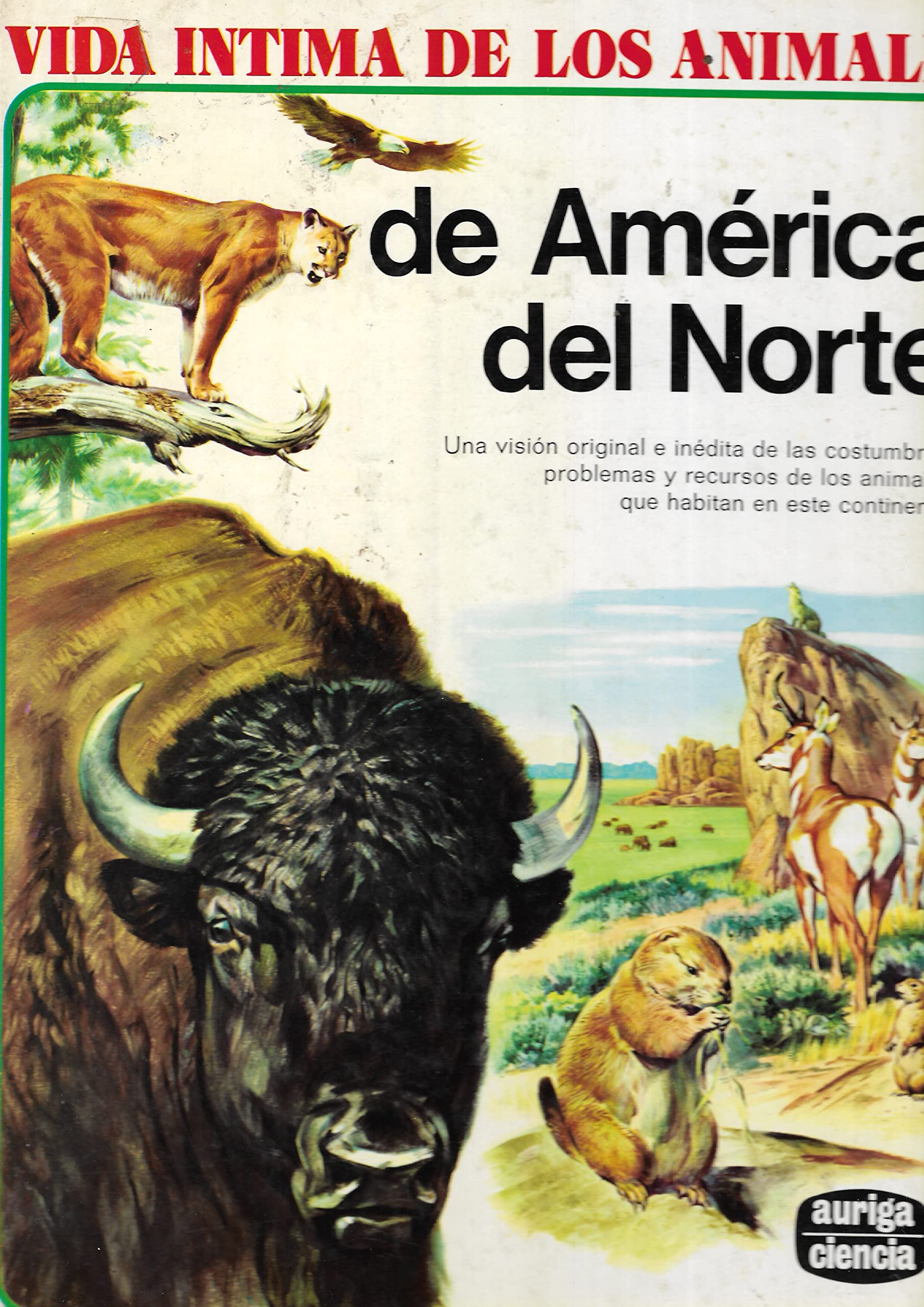 Los animales de América del Norte book