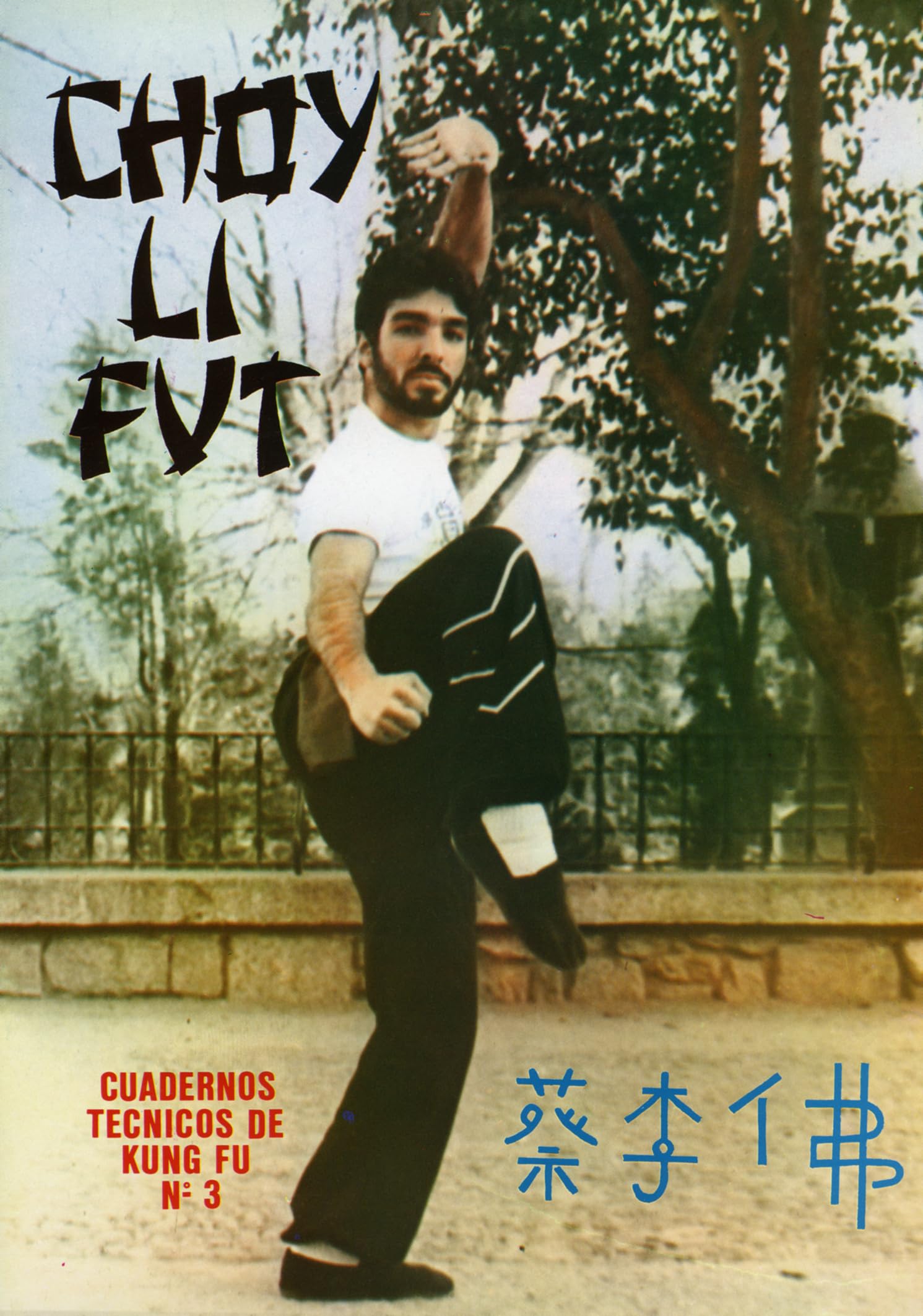 Choy Li Fut (Cuadernos técnicos de Kung Fu, Band 3) Leisure & Fun