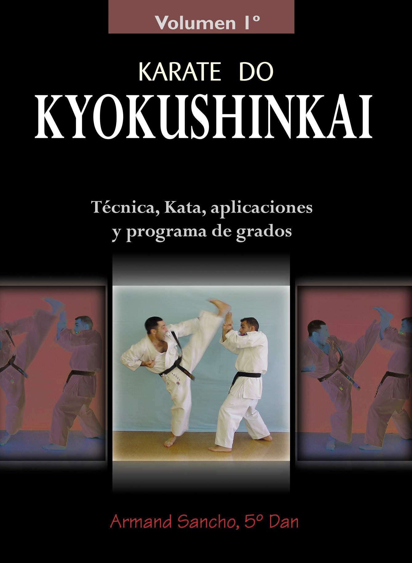 Karate do Kyokushinkai (Volumen 1º): Tecnica, kata, aplicaciones y programa de grados book