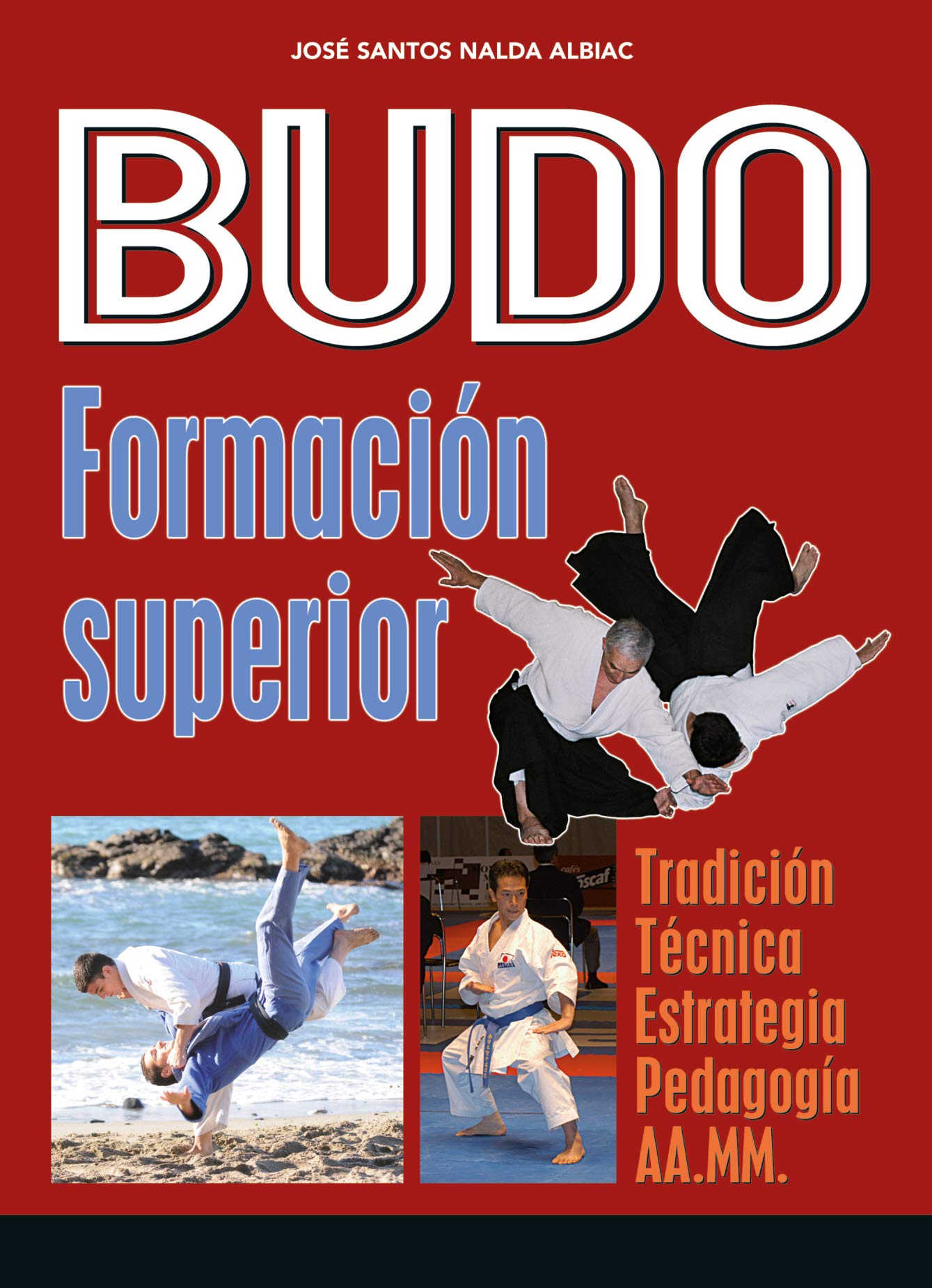 Budo. Formación superior: Tradición. Técnica. Estrategia. Pedagogía. AA.MM. book
