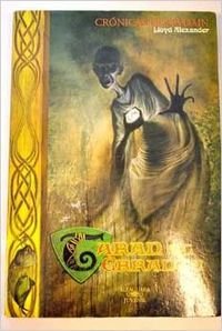 Taran el errante (cronicas de prydain, IV)(+14 años) book