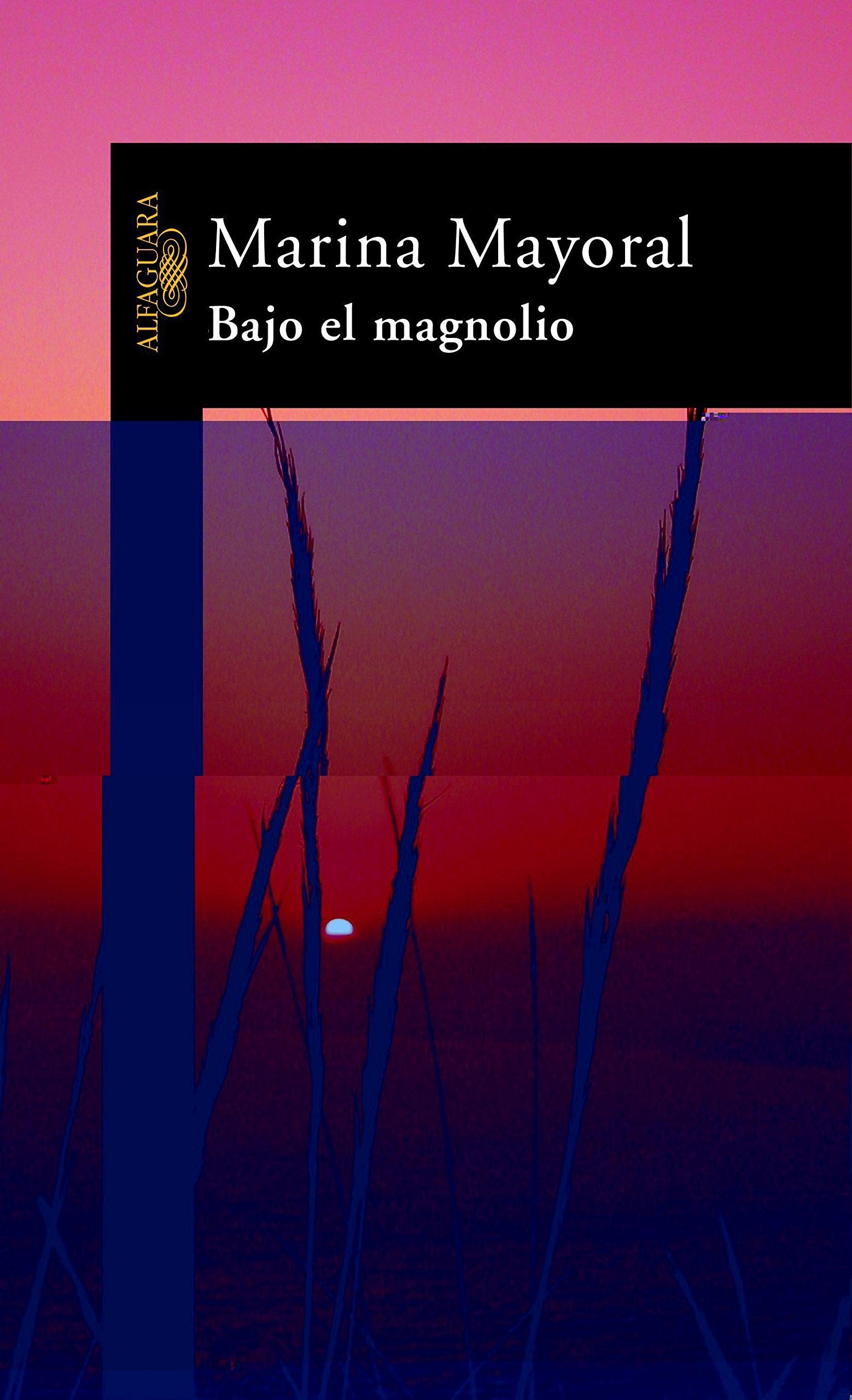 Bajo El Magnolio/under the Magnolia Tree book