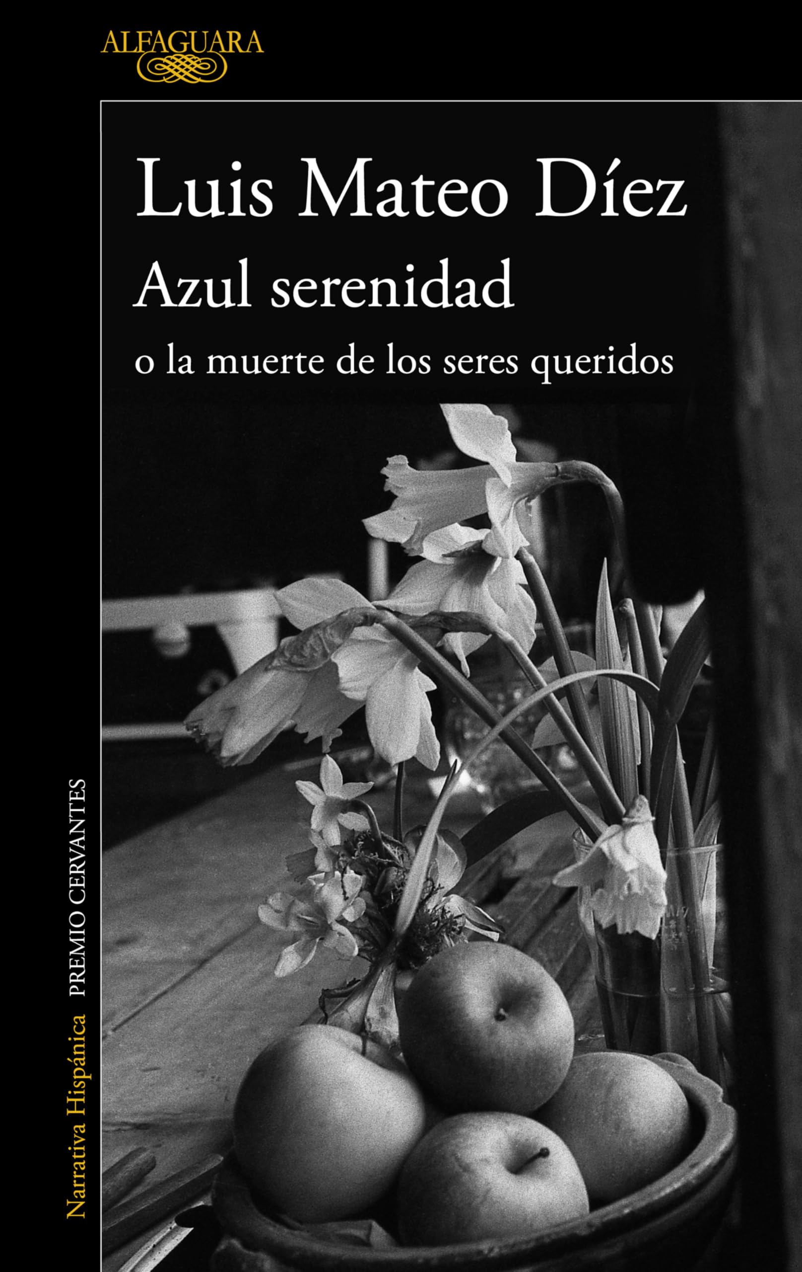 Azul serenidad o La muerte de los seres queridos (Hispánica) Contemporary literature