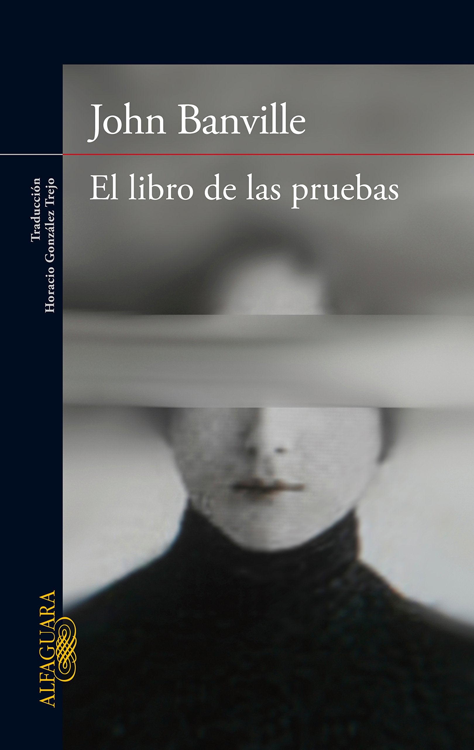 El libro de las pruebas (Literaturas) Contemporary literature
