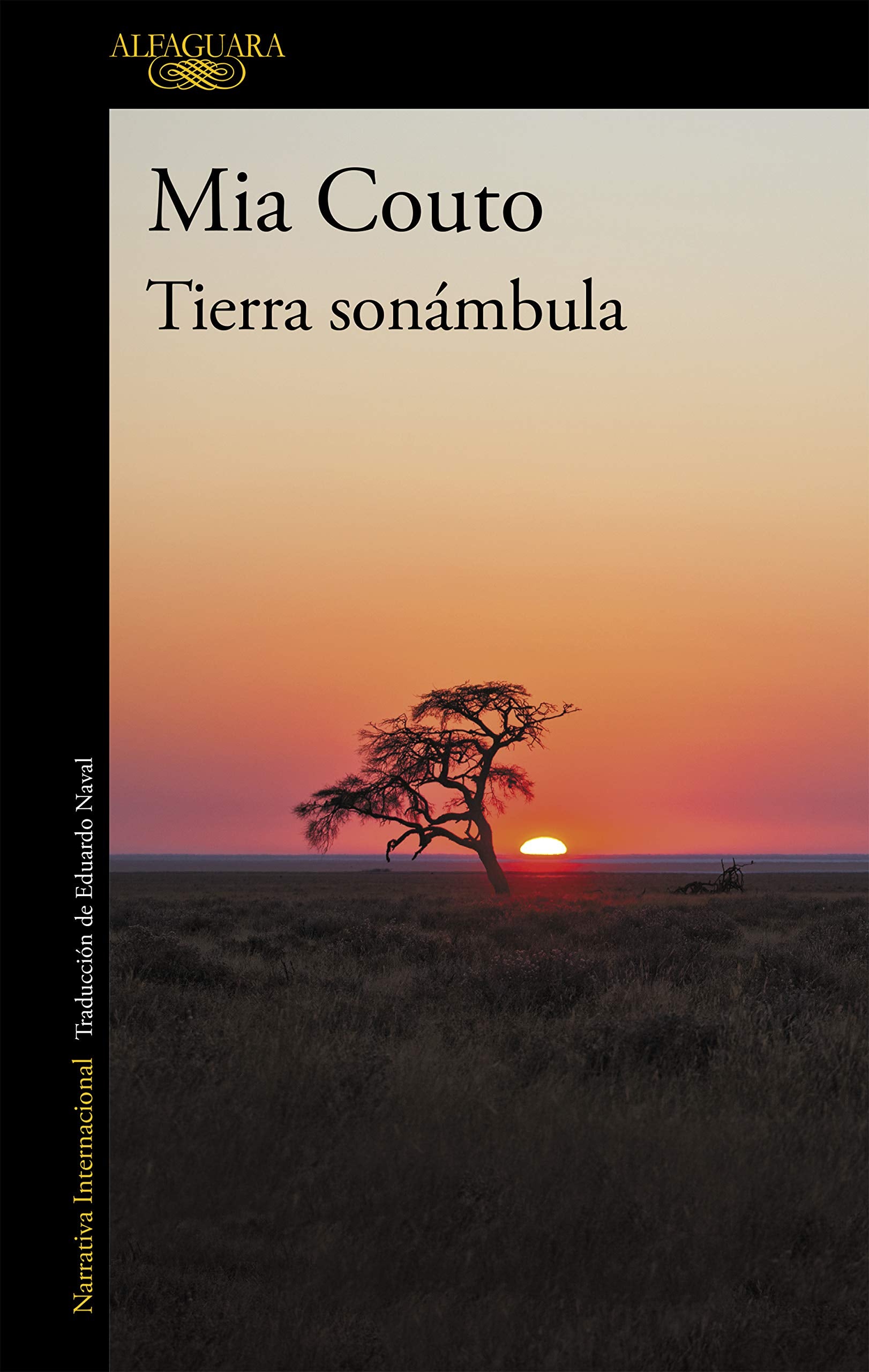 Tierra sonámbula (Literaturas) Contemporary literature