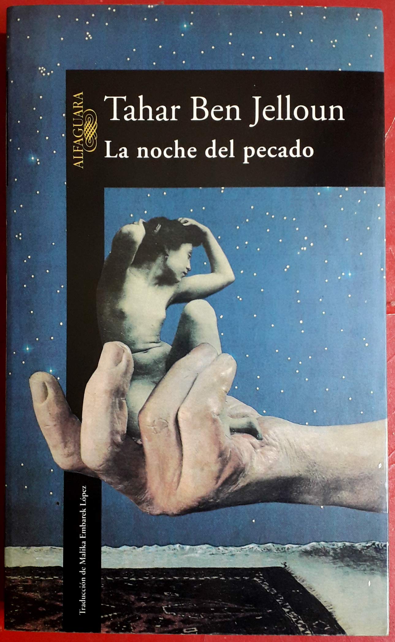 LA NOCHE DEL PECADO book
