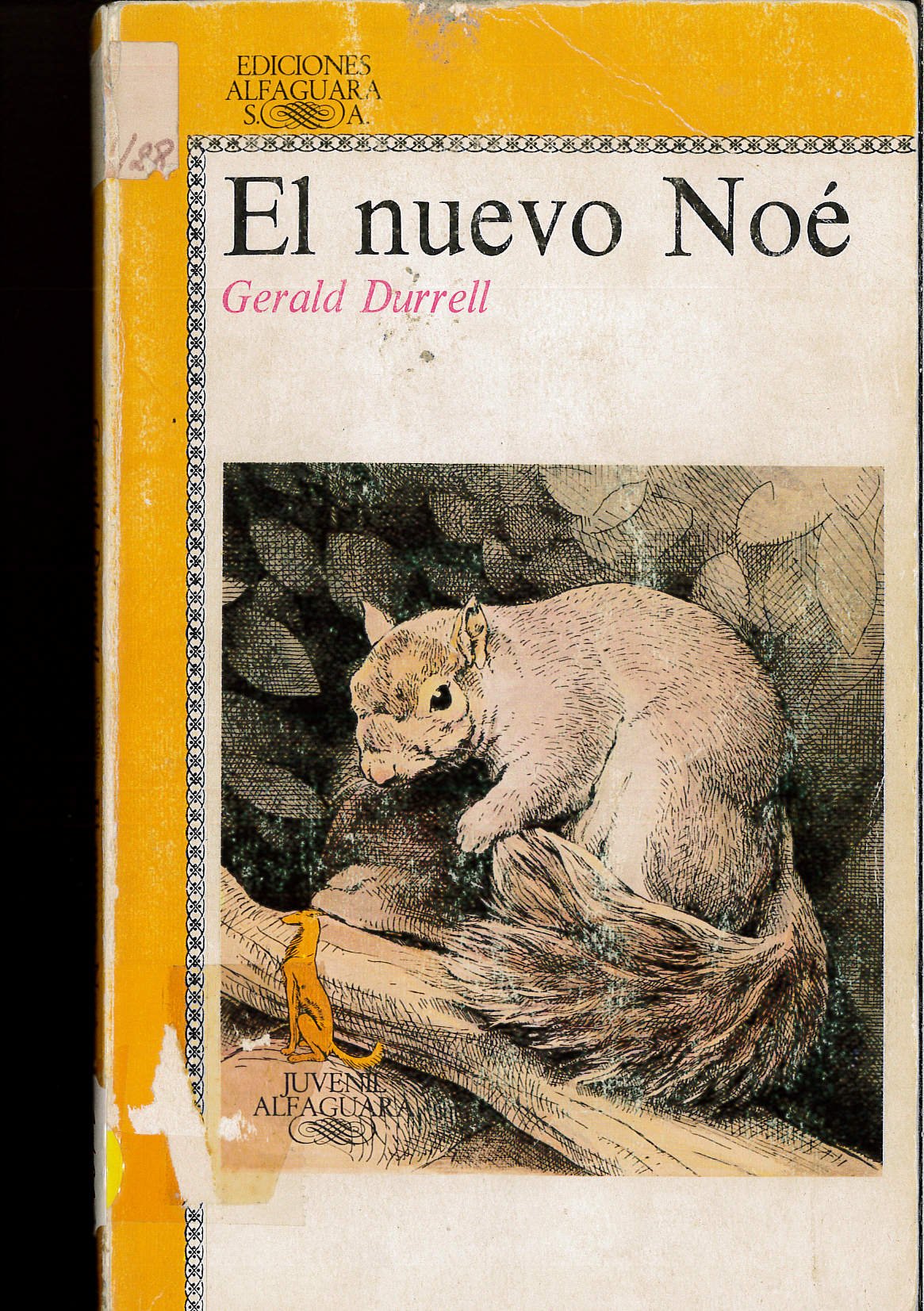 El Nuevo Noe Books