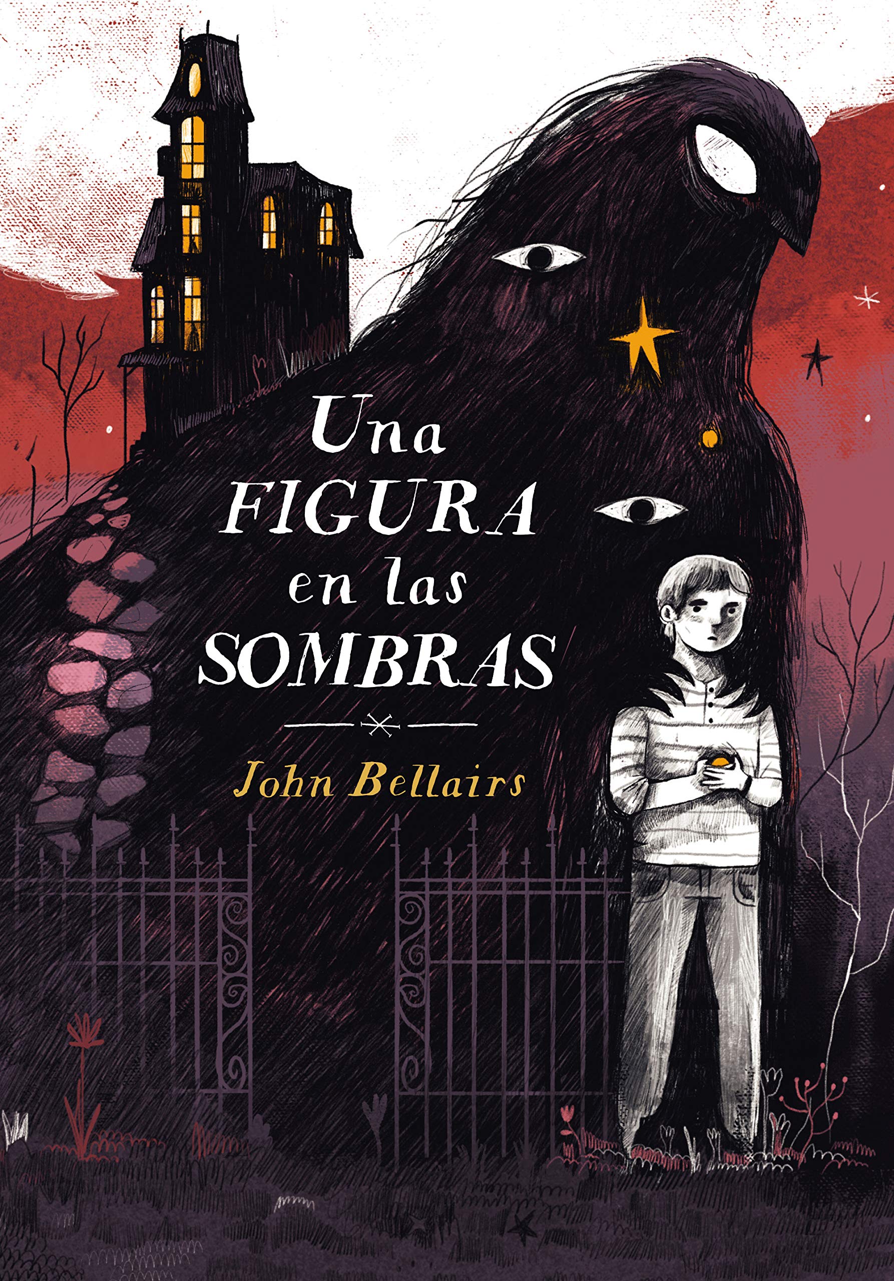 Una figura en las sombras (Los casos de Lewis Barnavelt 2) (Jóvenes lectores, Band 2) Social Sciences