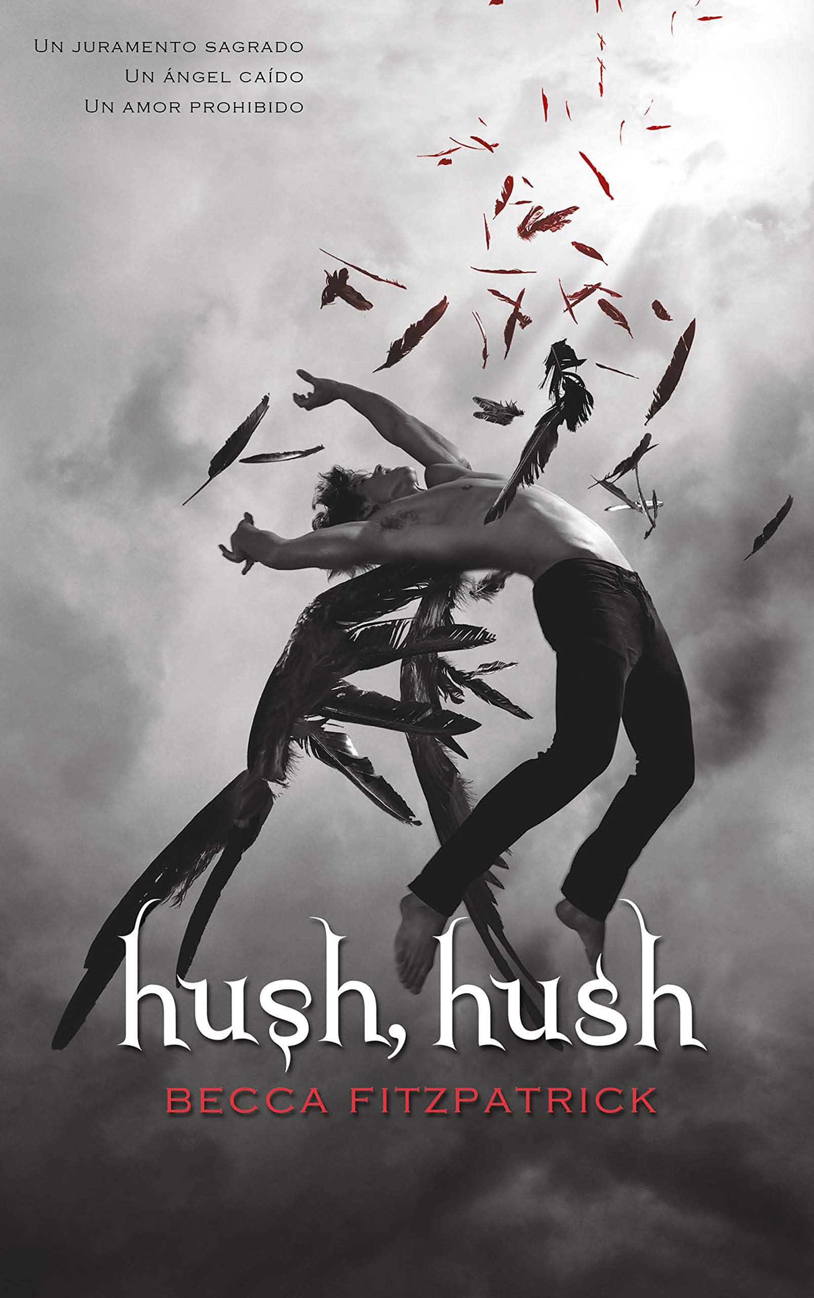 Hush, Hush (Spanish Edition) Social Sciences Books