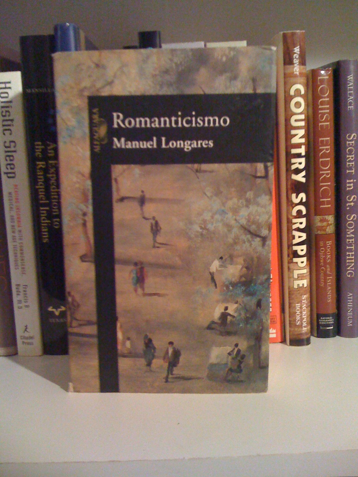 ROMANTICISMO (HISPANICA, Band 717031) Books