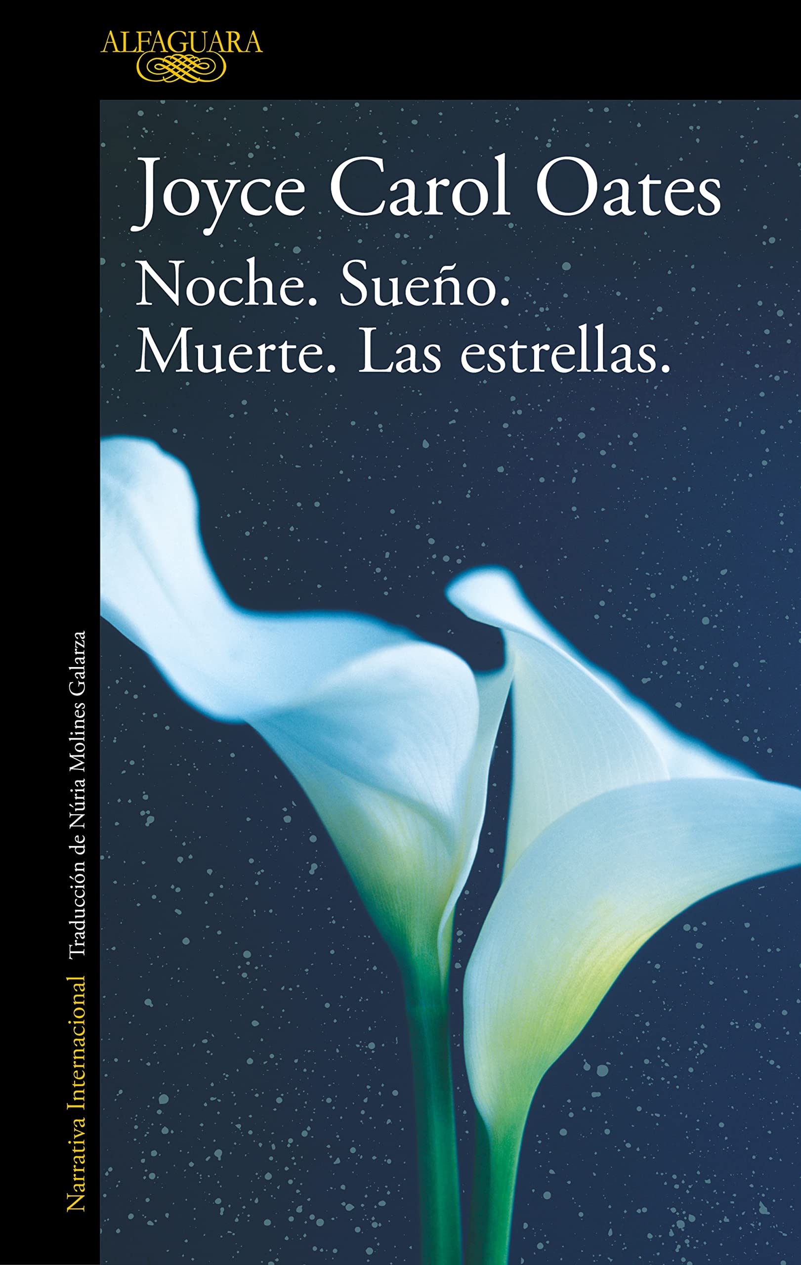 Noche. Sueño. Muerte. Las estrellas. / Night. Sleep. Death. The Stars book