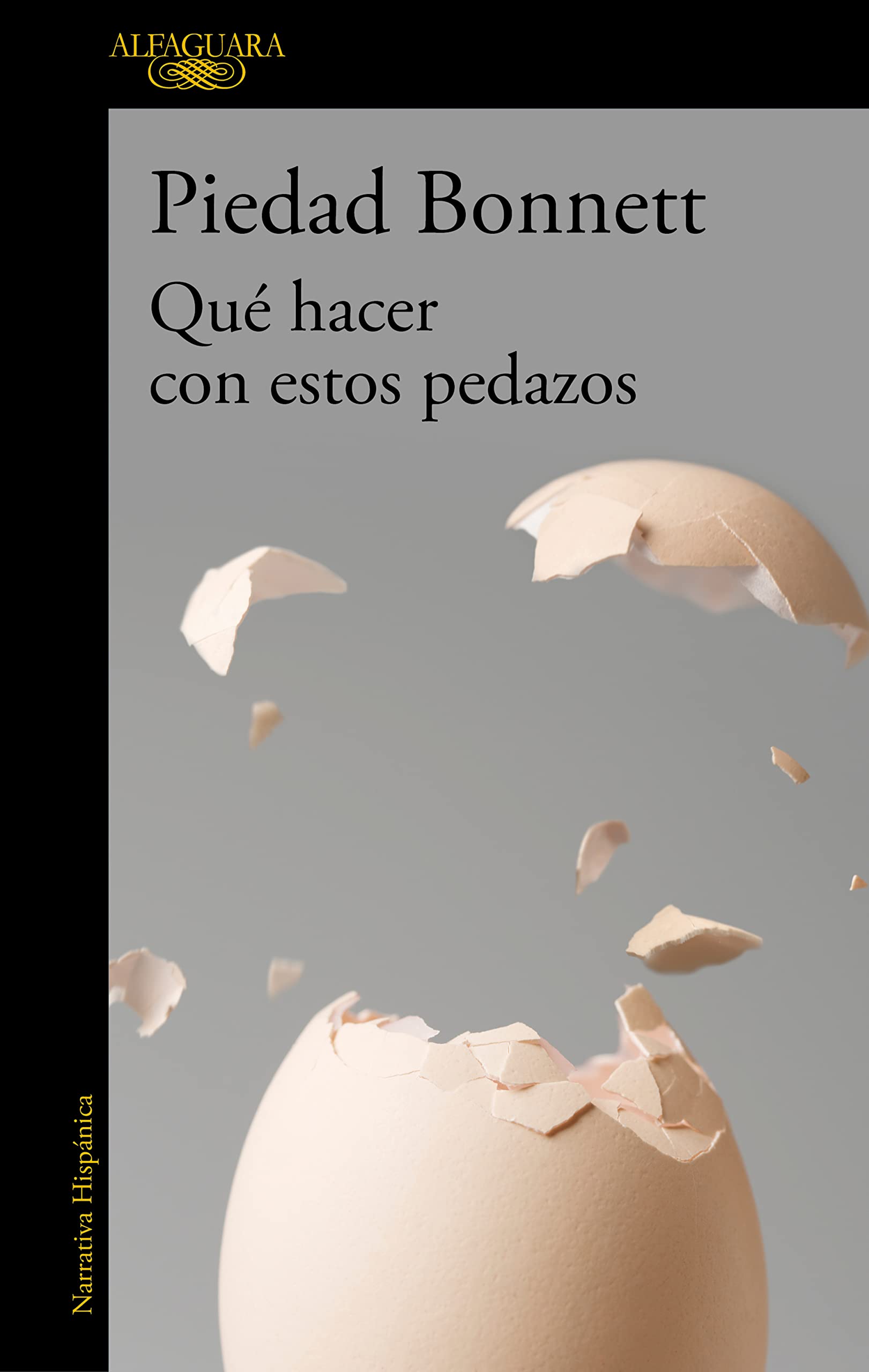 Qué hacer con estos pedazos (Hispánica) Contemporary literature