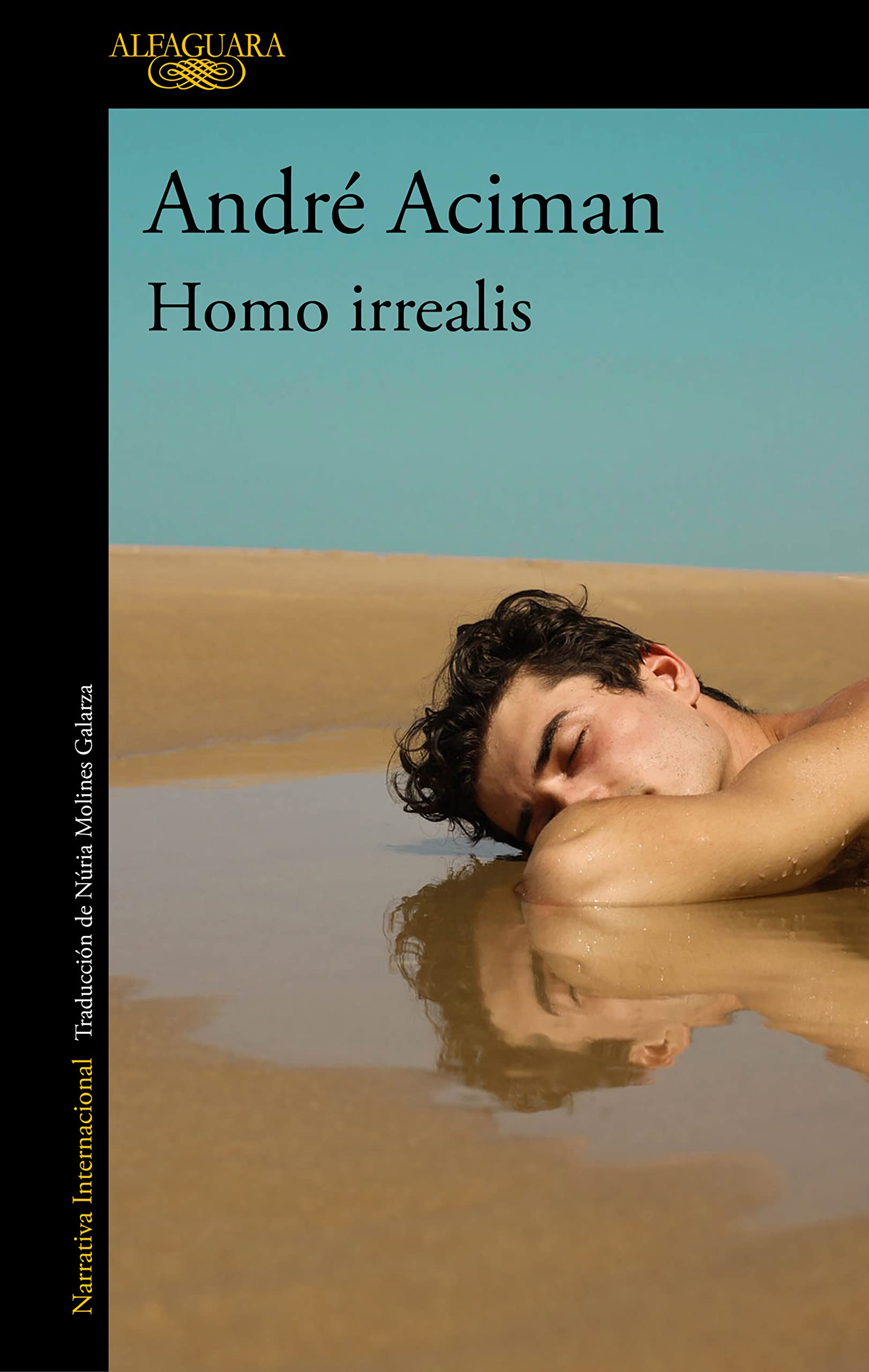 Homo irrealis (Literaturas) Art & Literature