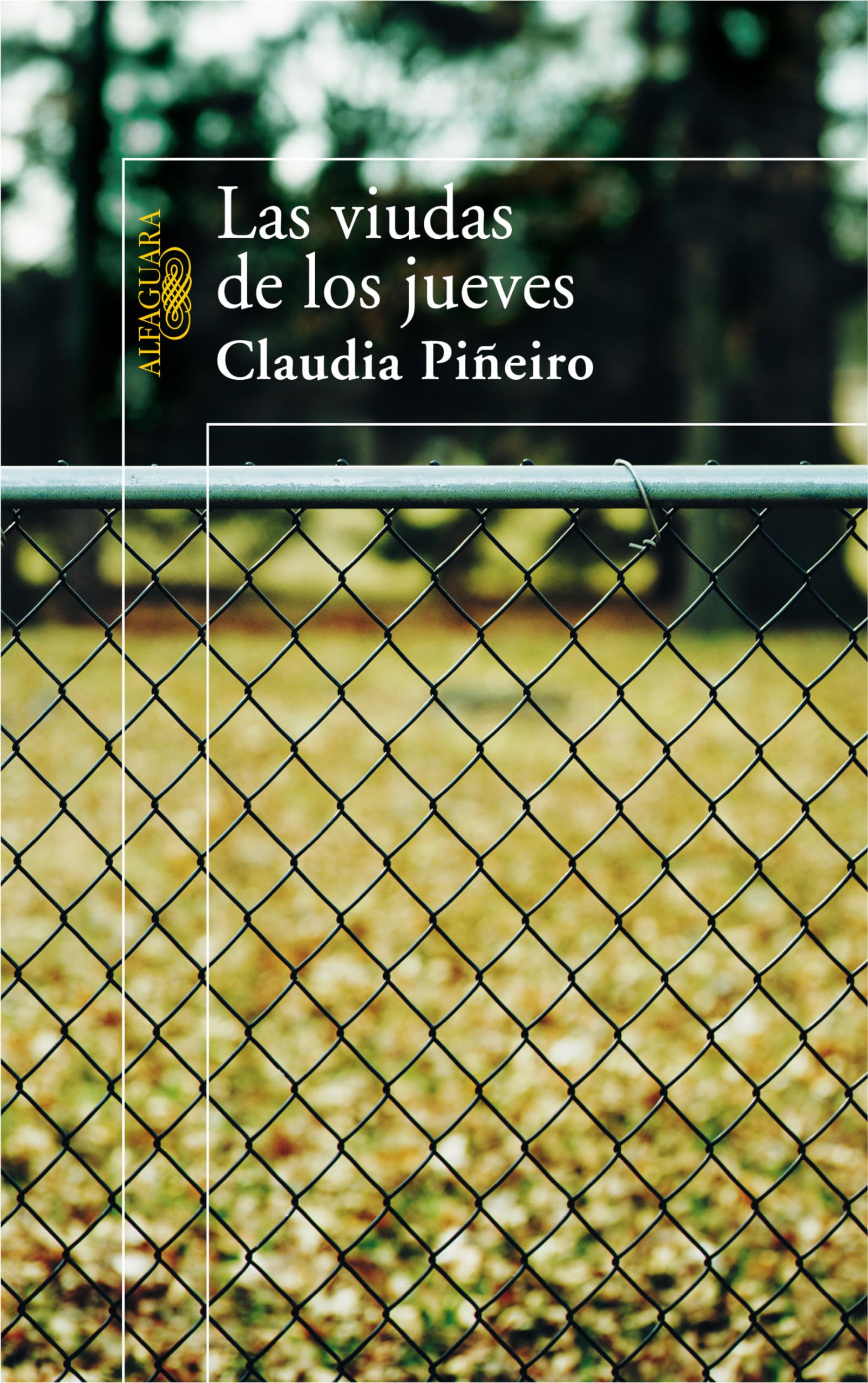 LAS VIUDAS DE LOS JUEVES (HISPANICA, Band 717031) Books