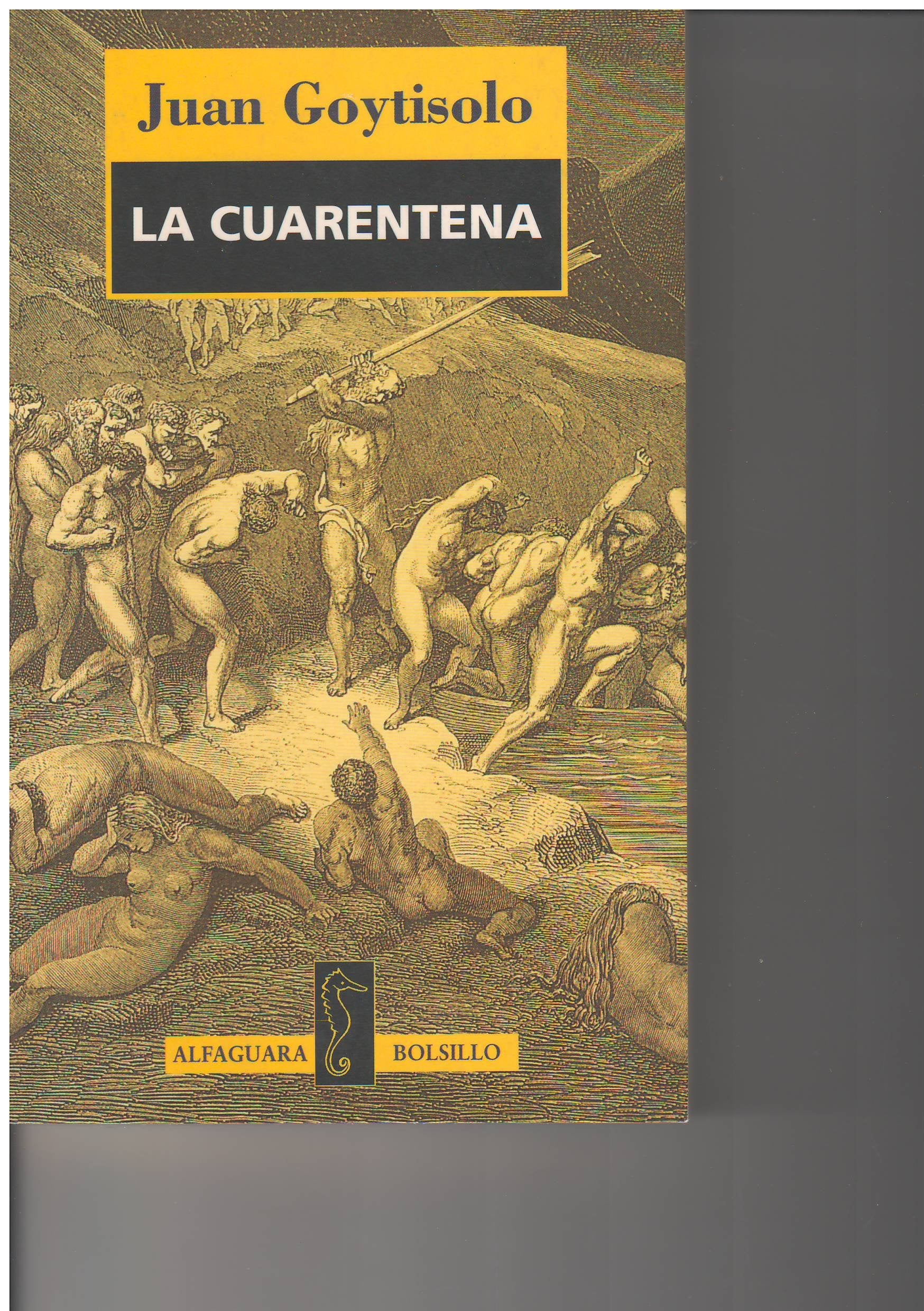 La cuarentena (bolsillo) book