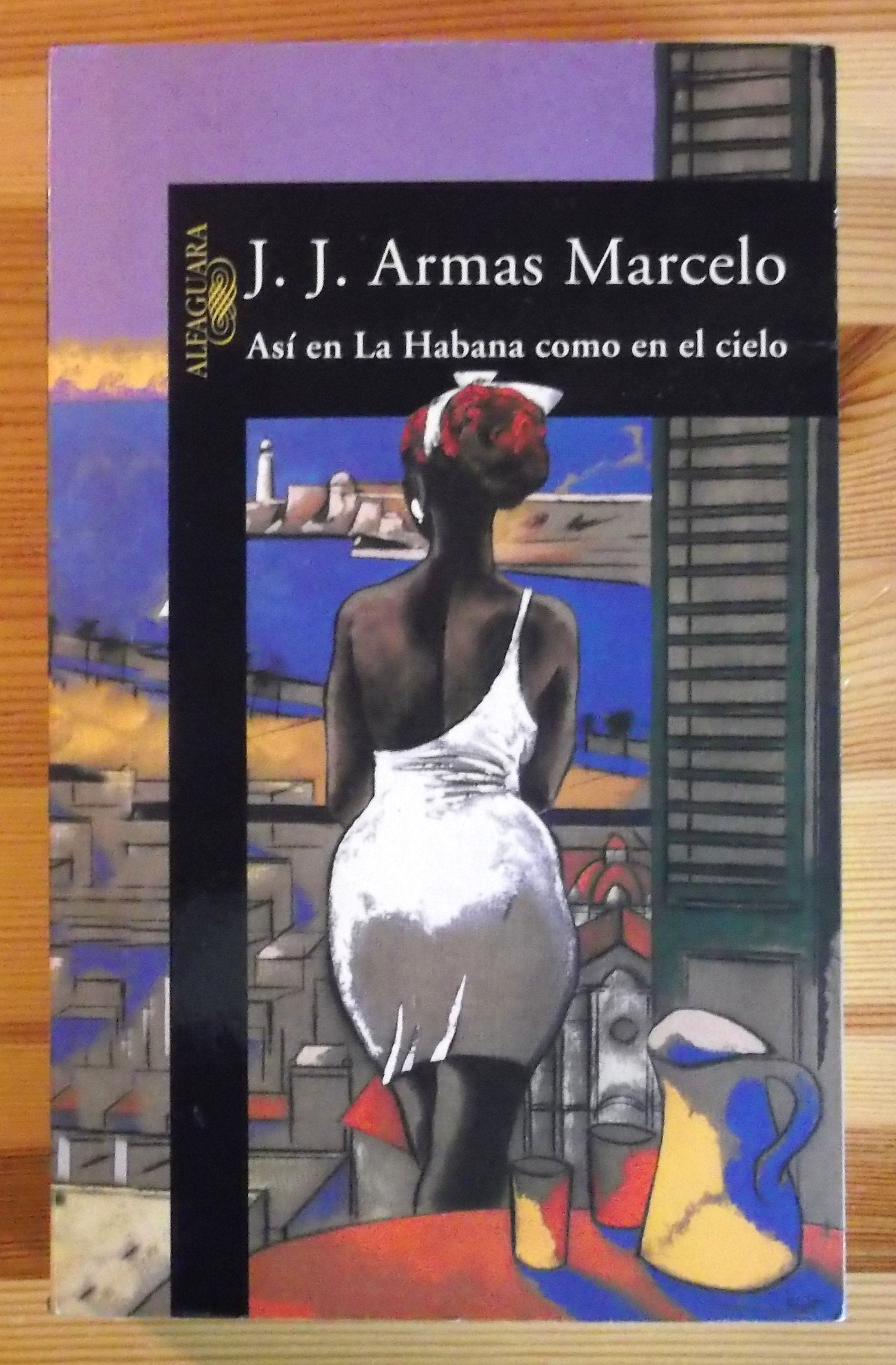 Asi En LA Habana Como En El Cielo book