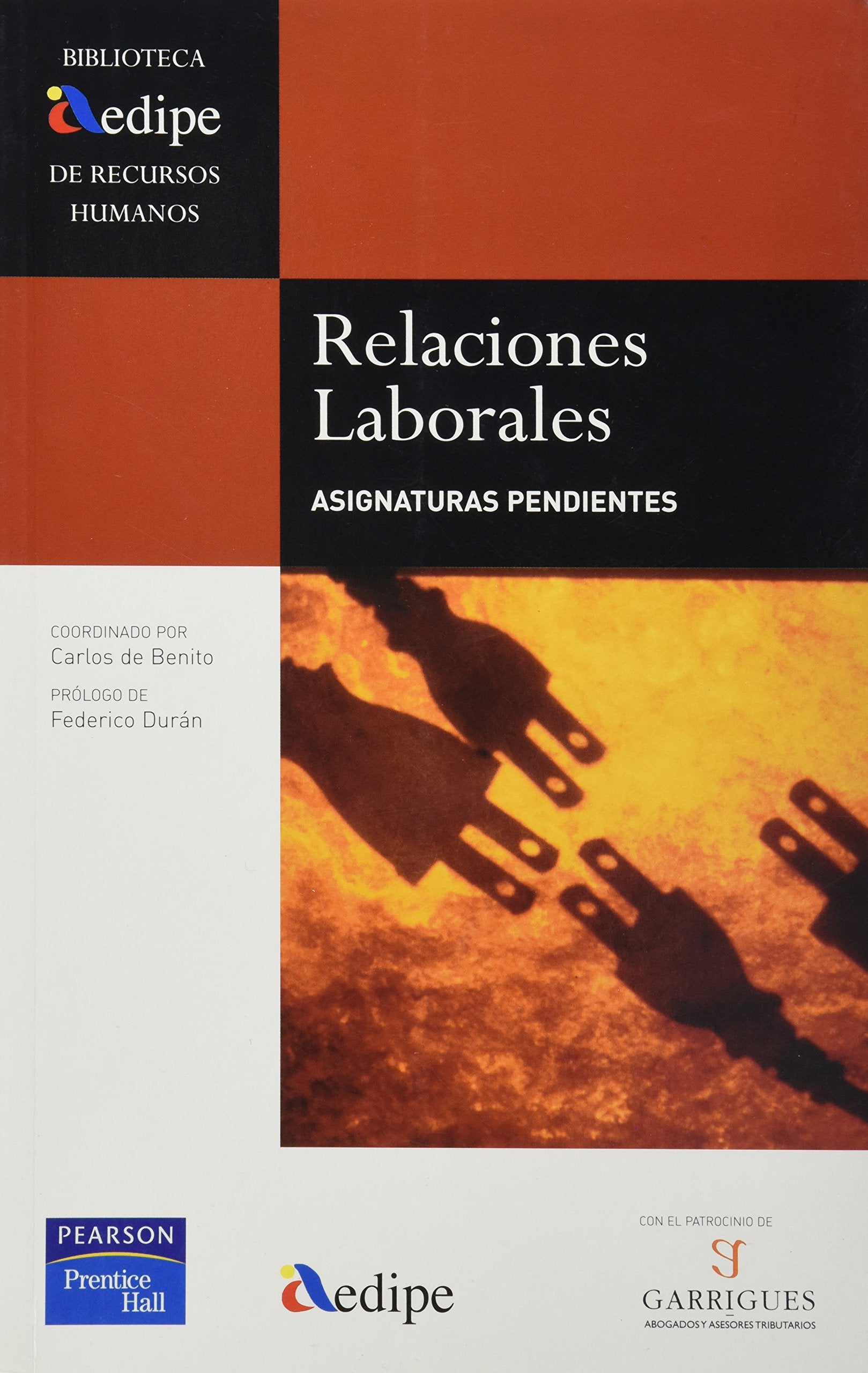 Aedipe: relaciones laborales (Biblioteca AEDIPE) Books
