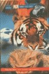 Abre los ojos: caja animales 1 book