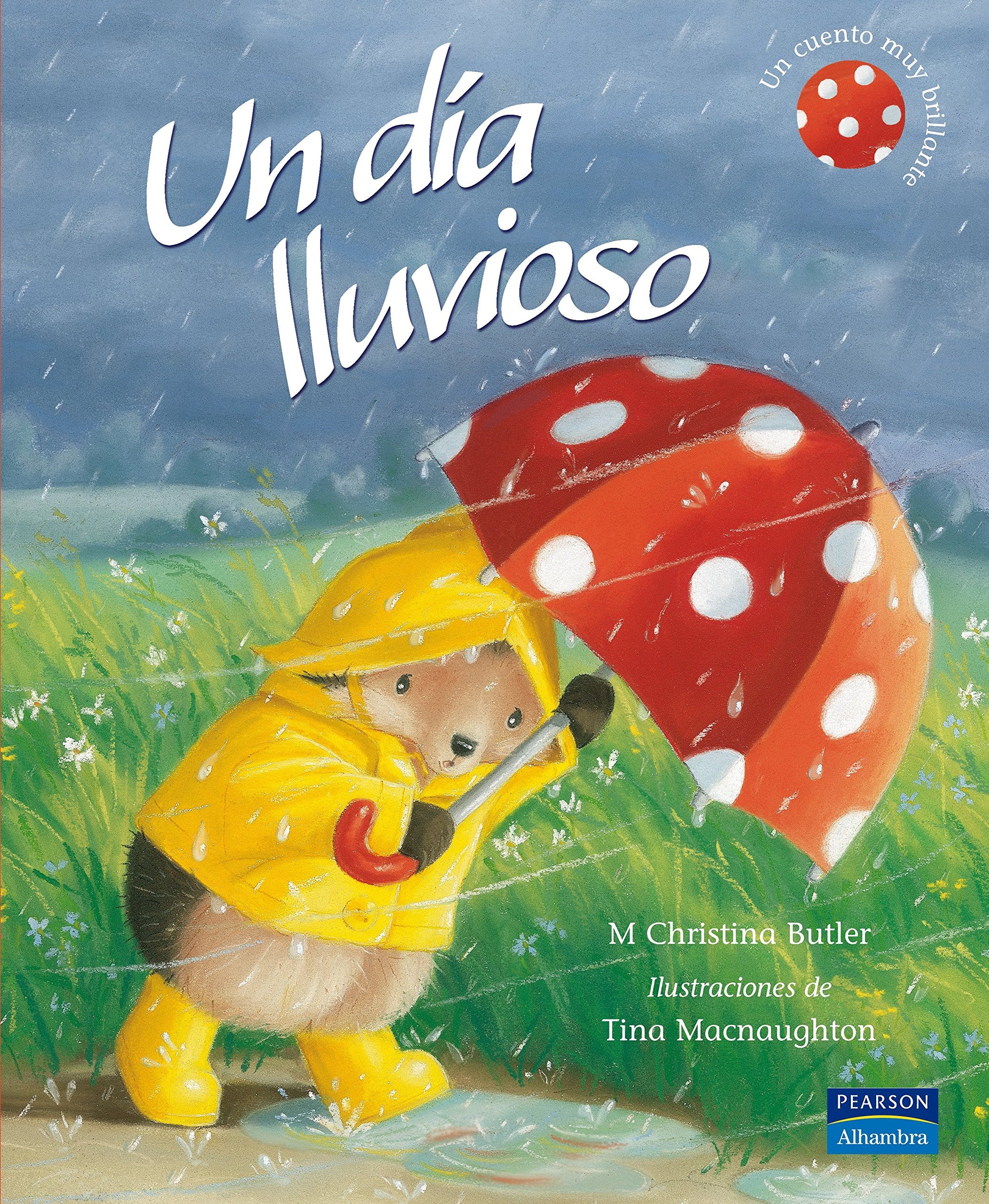 Un día muy lluvioso book