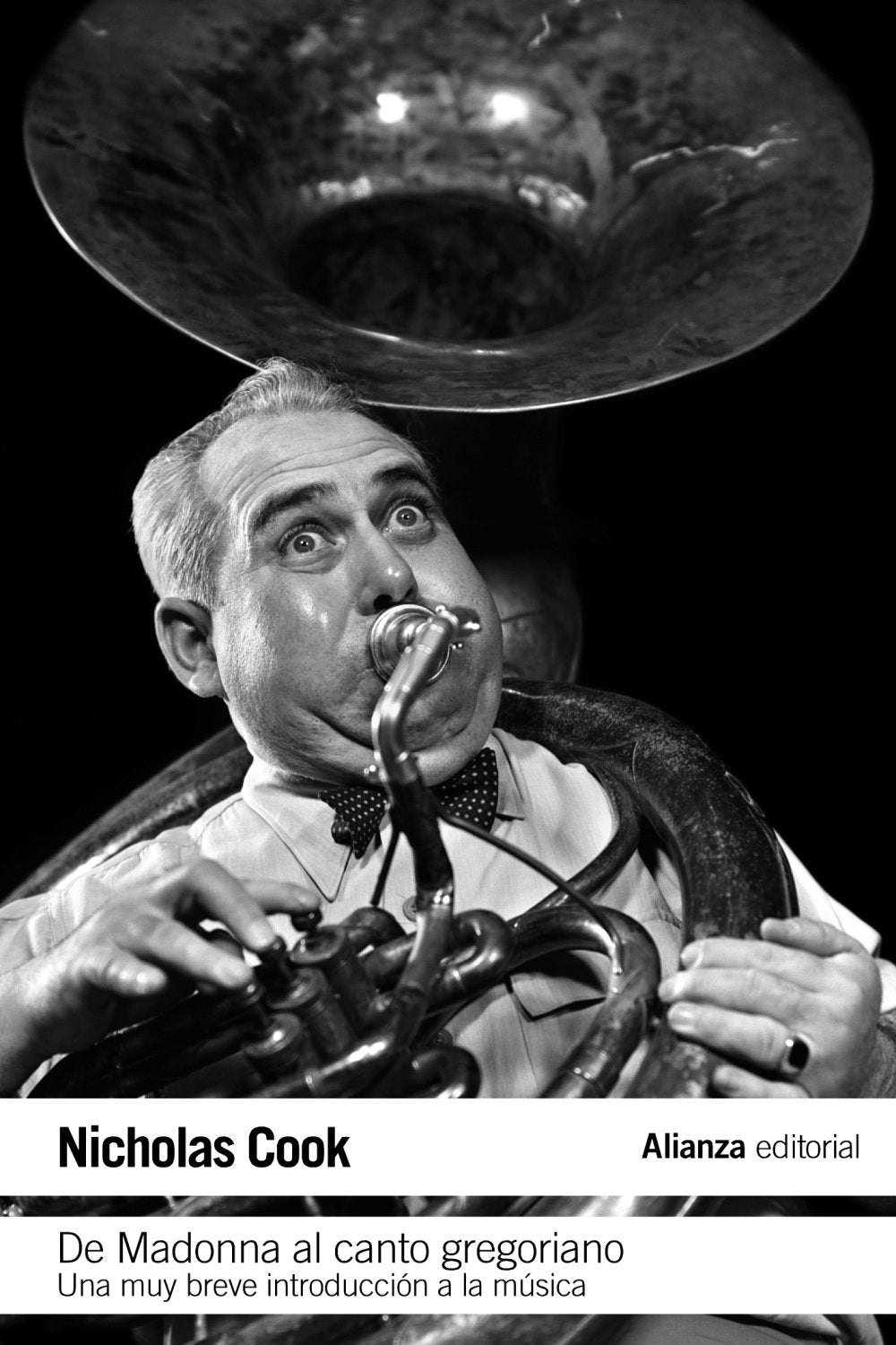De Madonna al canto gregoriano : una muy breve introducción a la música Social Sciences