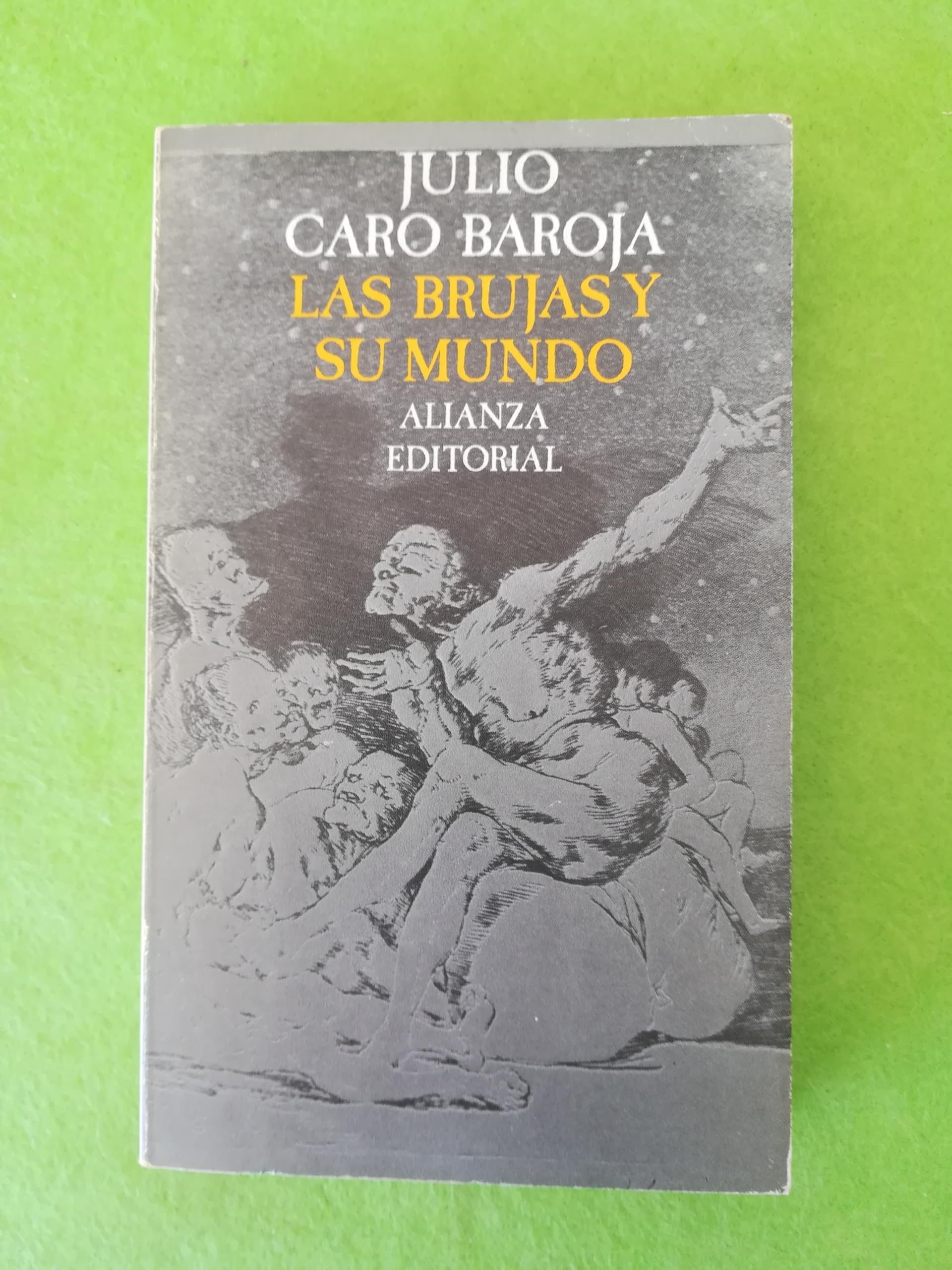 Las brujas y su mundo book