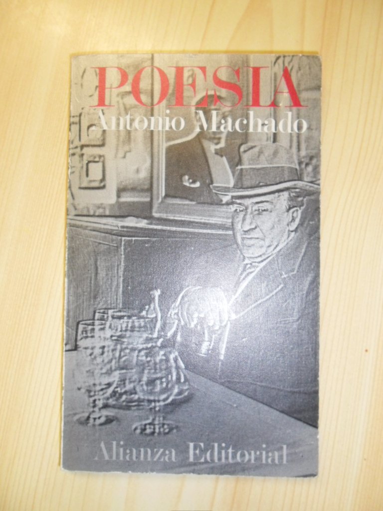 Poesia / Poetry book