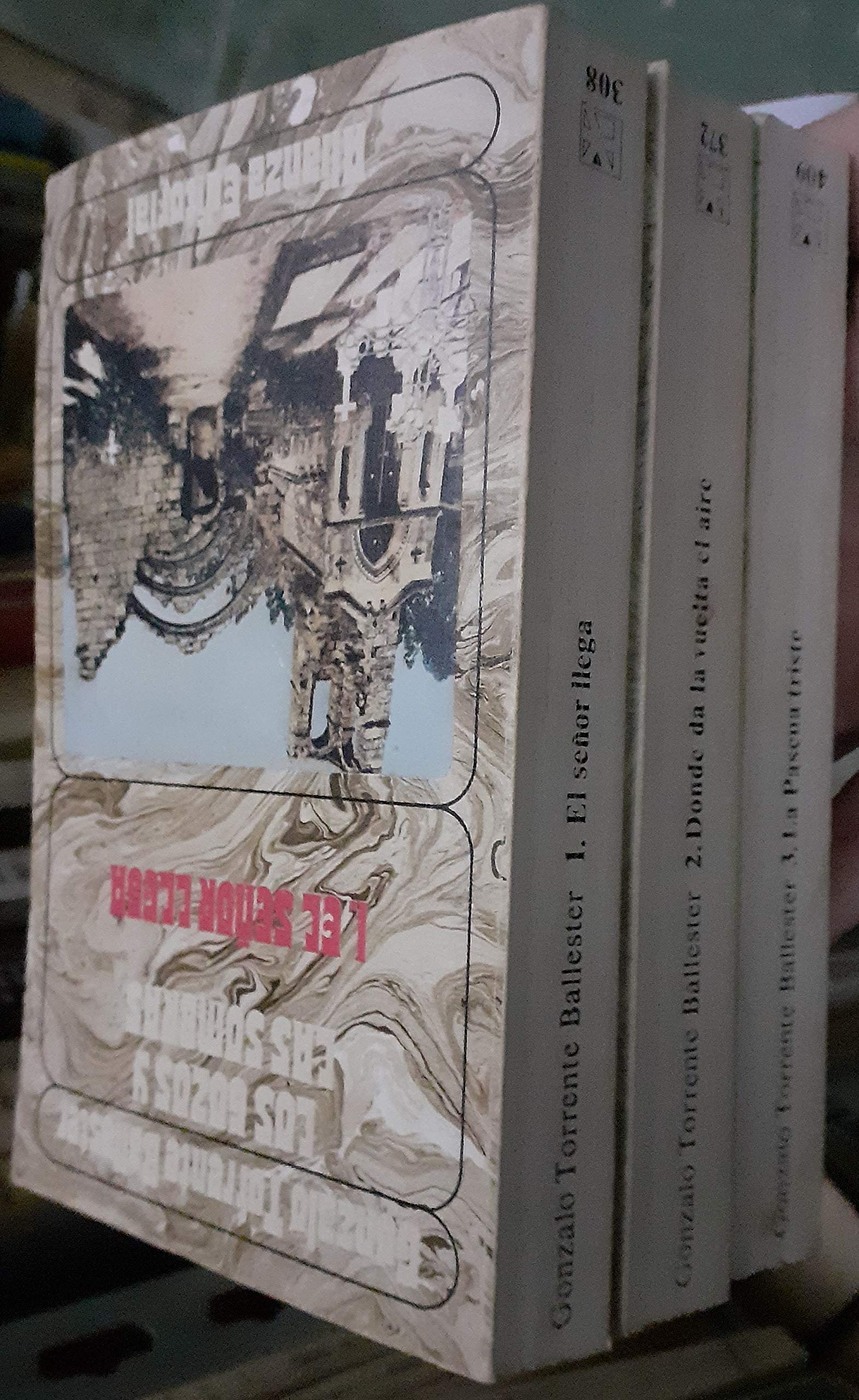 Los gozos y las sombras book