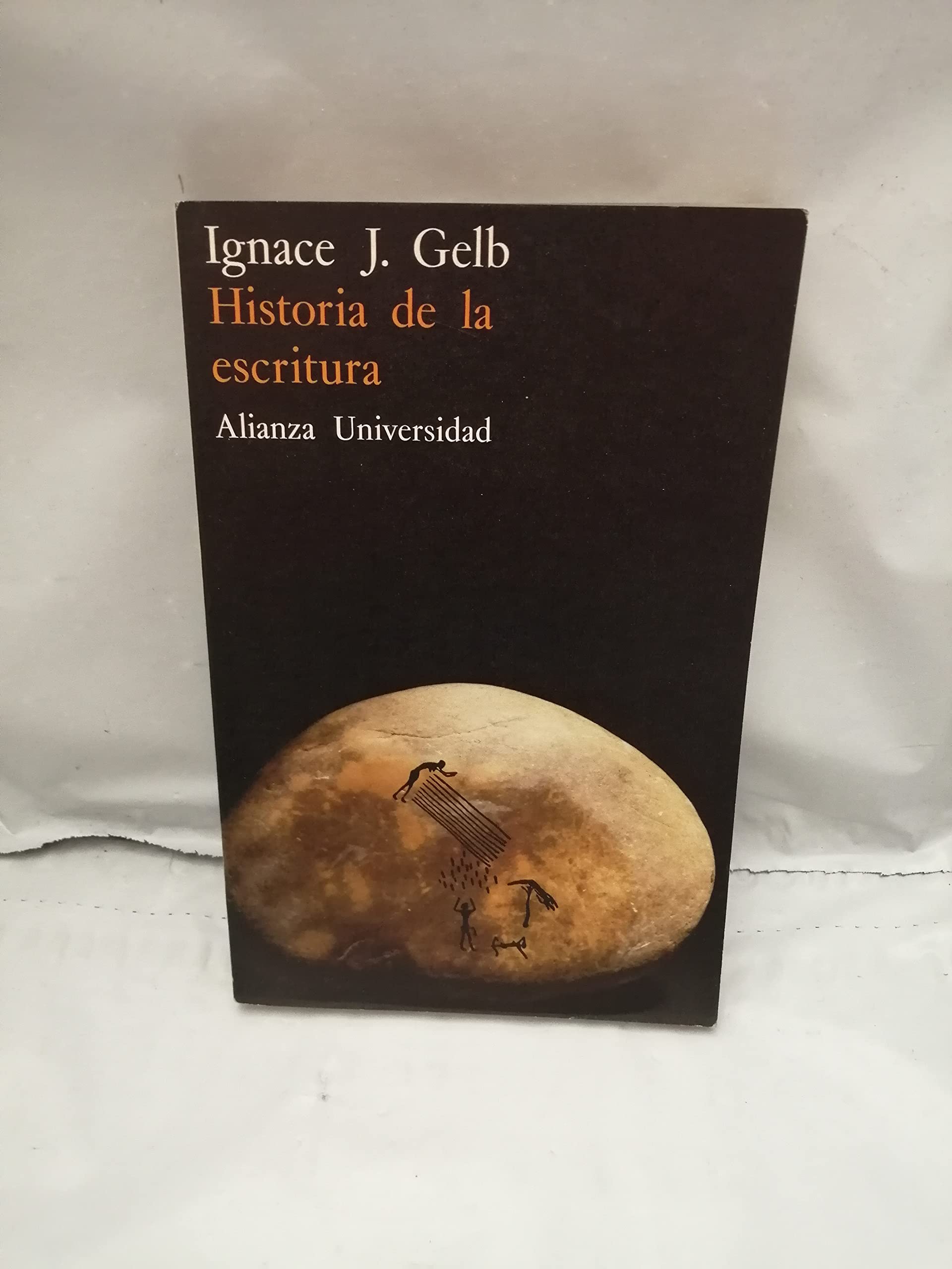 Historia de la escritura/ History of Writings book