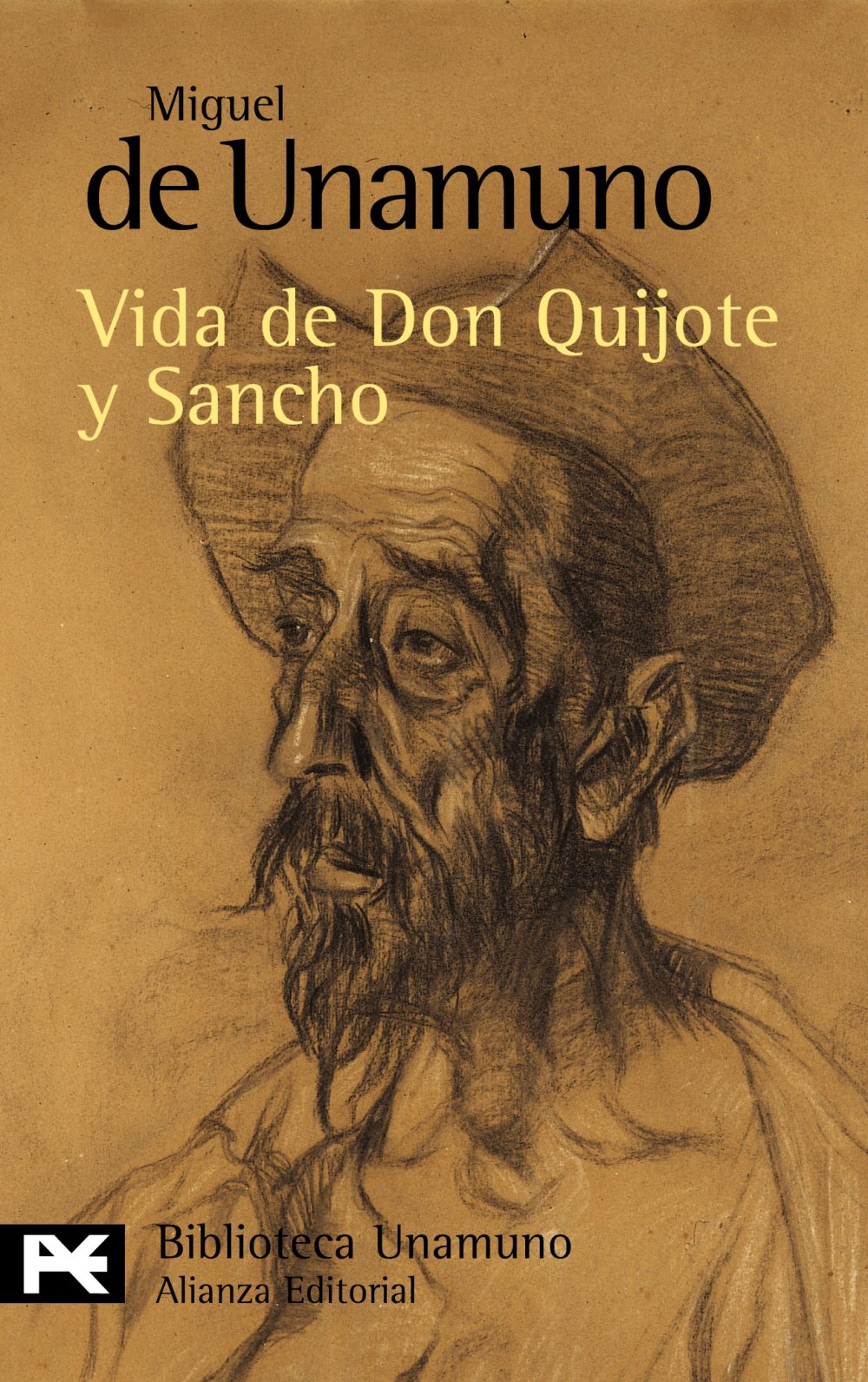Vida de Don Quijote y Sancho / Life of Don Quixote and Sancho book